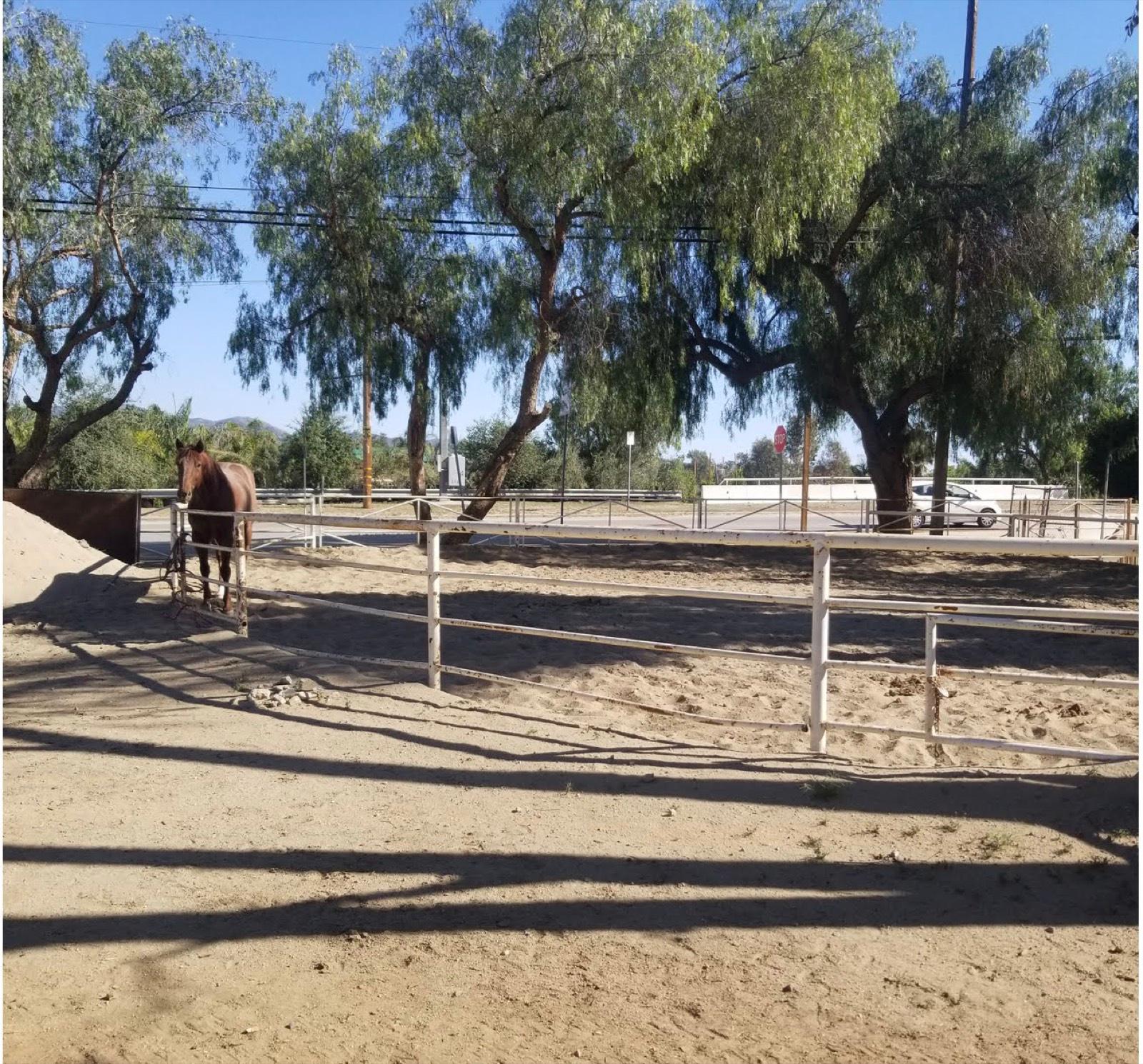 G's Red Ranch 11209 — photo 7