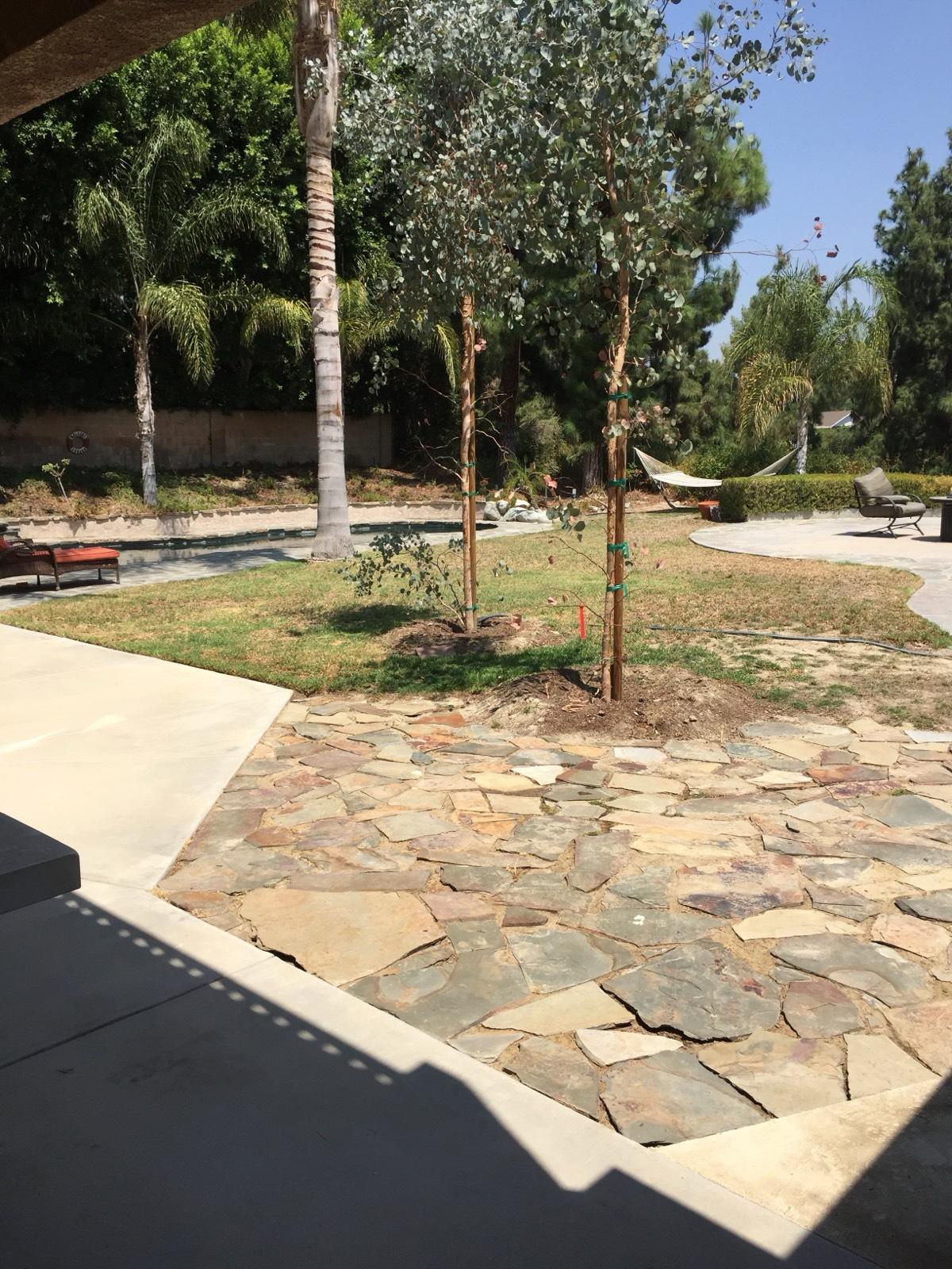Granada Hills Knolwood — photo 10
