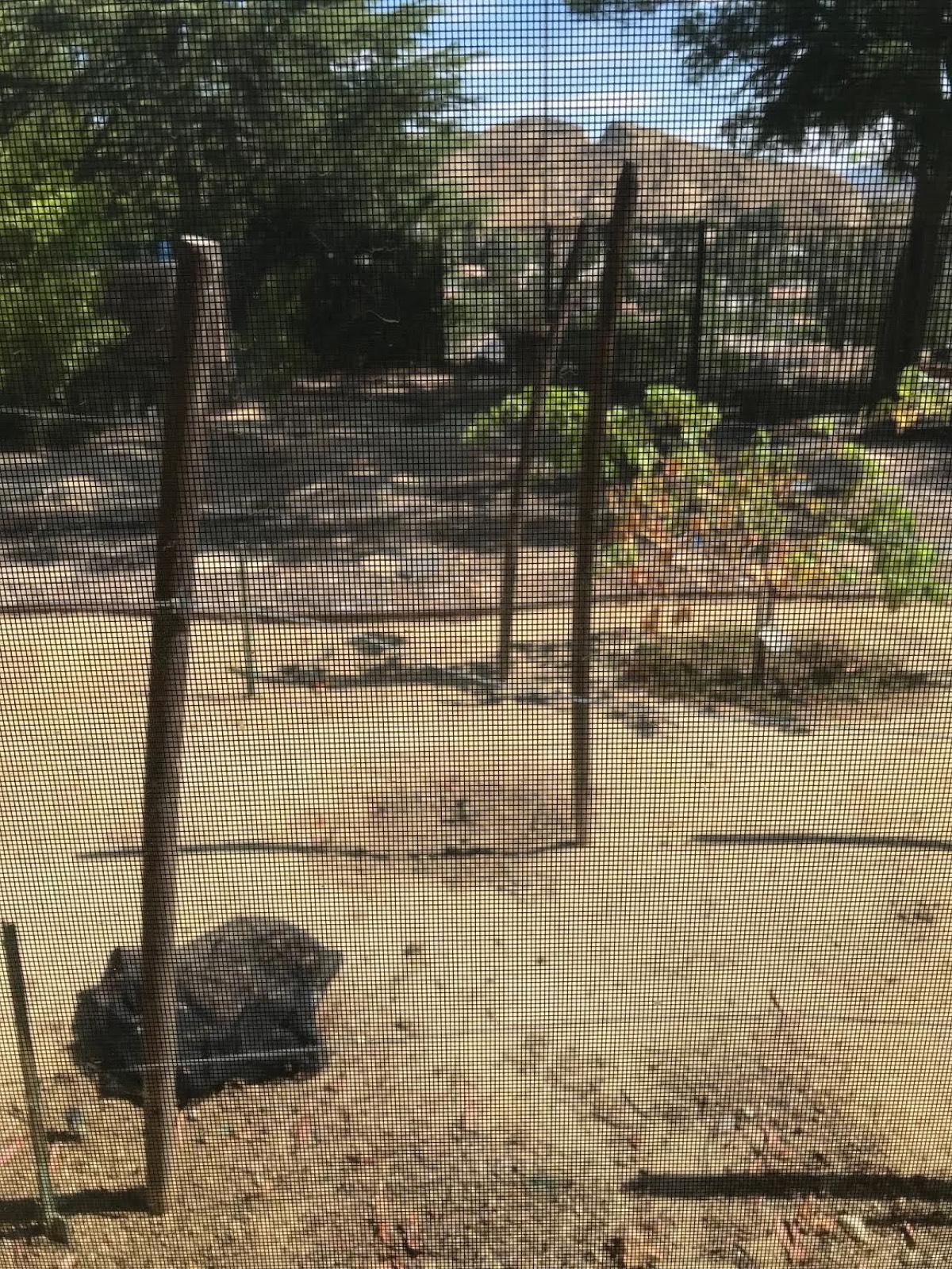 G's Castaic Property — photo 4