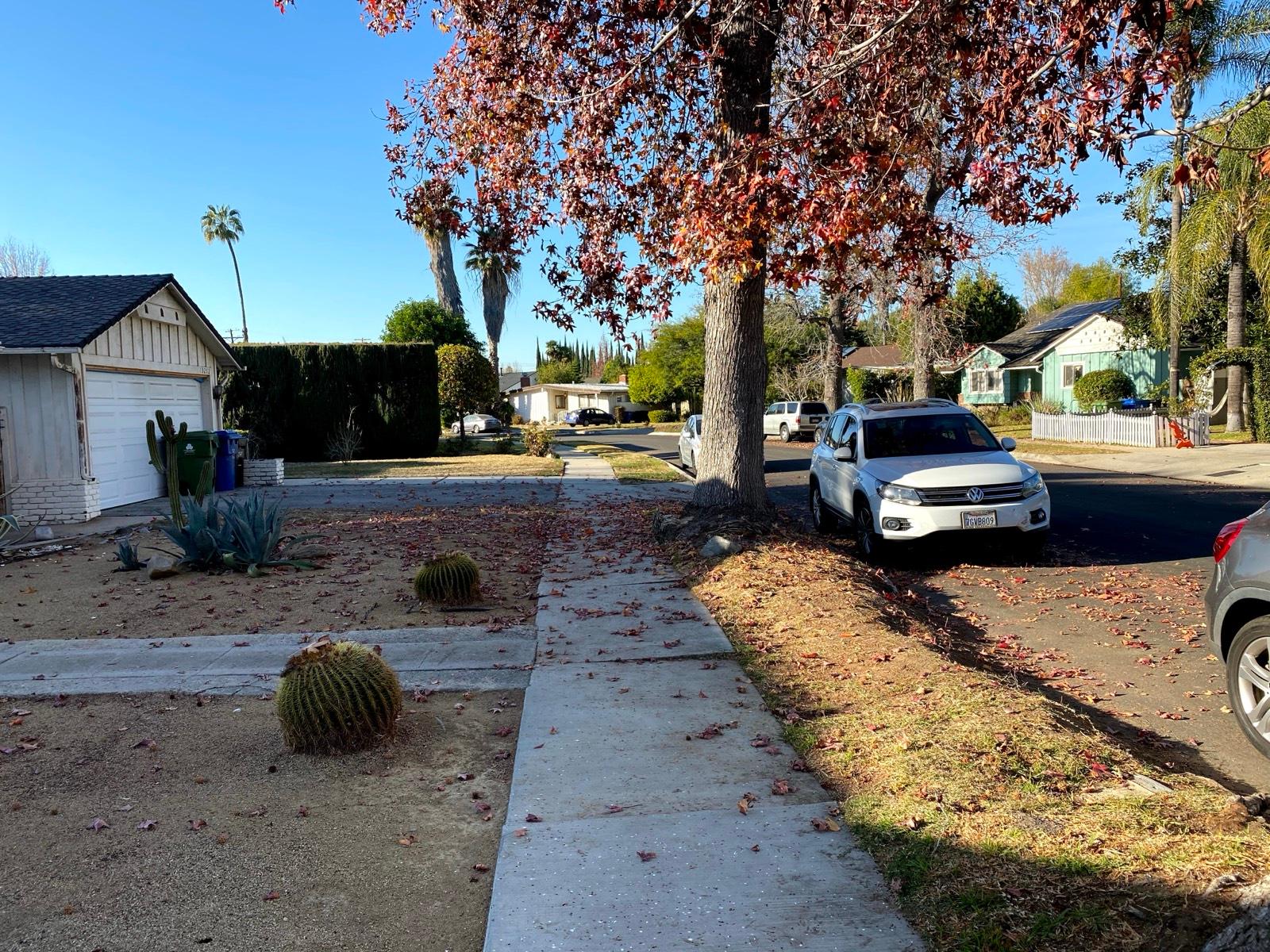 HF's Midcentury Cactus Home — photo 3