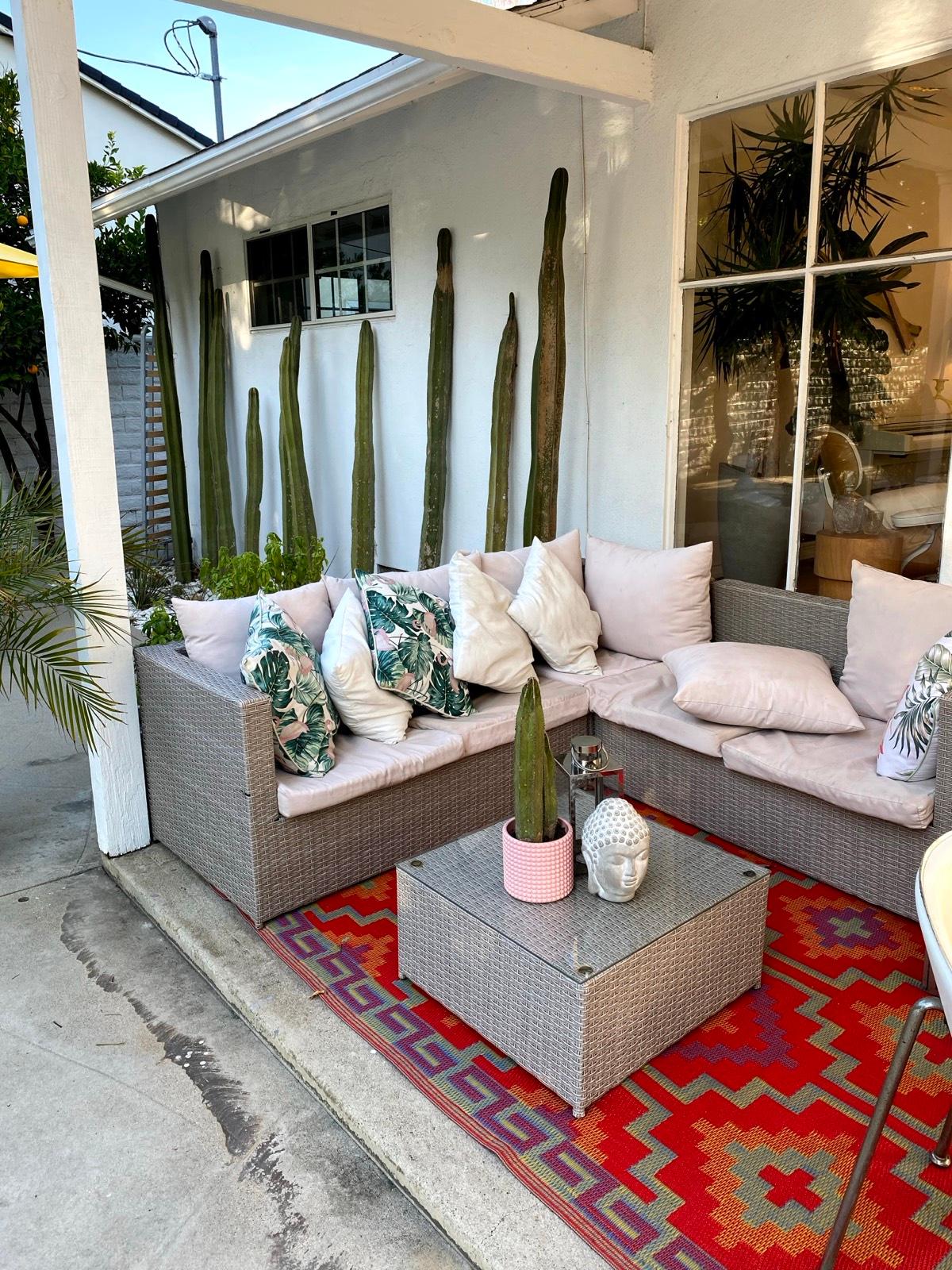 HF's Midcentury Cactus Home — photo 6