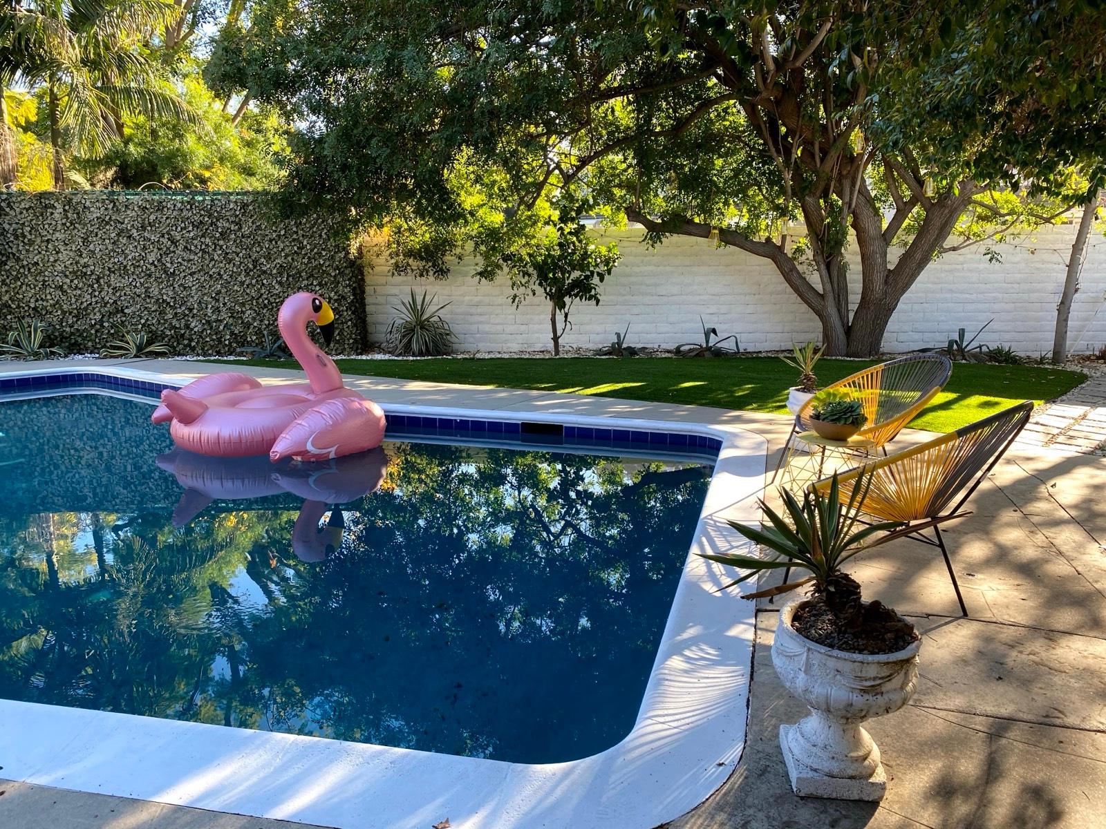 HF's Midcentury Cactus Home — photo 9