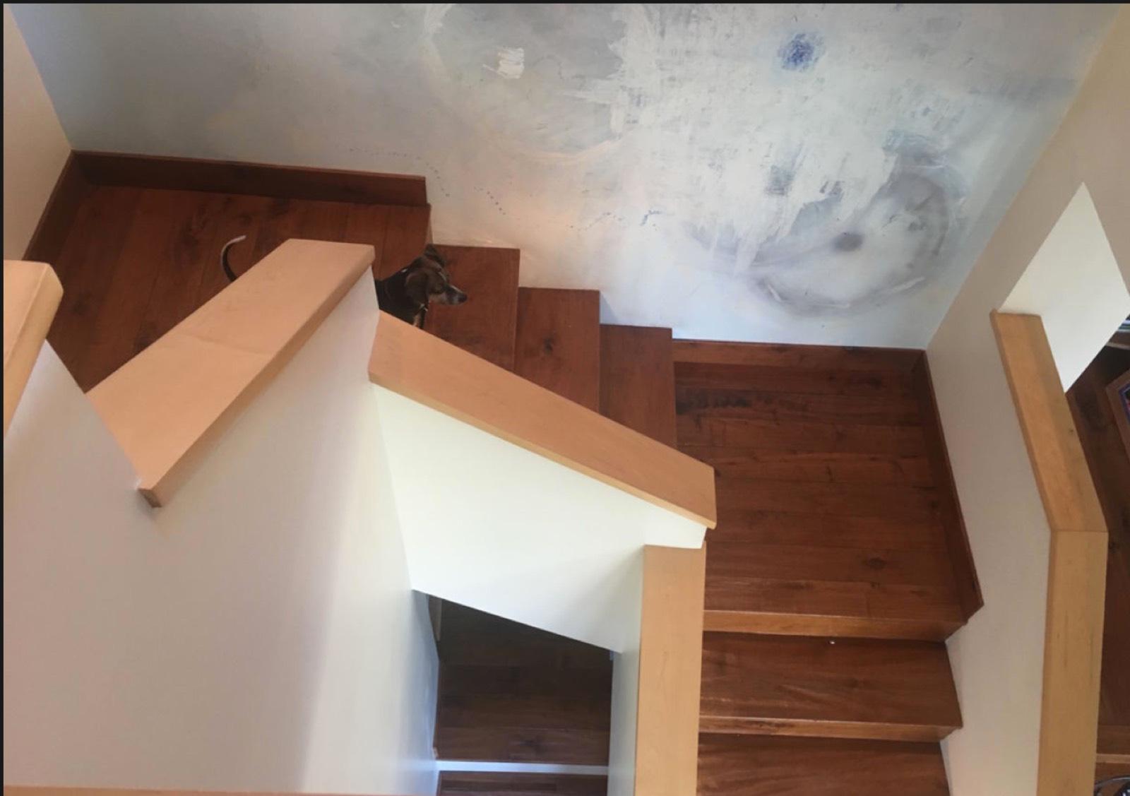 Highland Park Nature House — photo 12