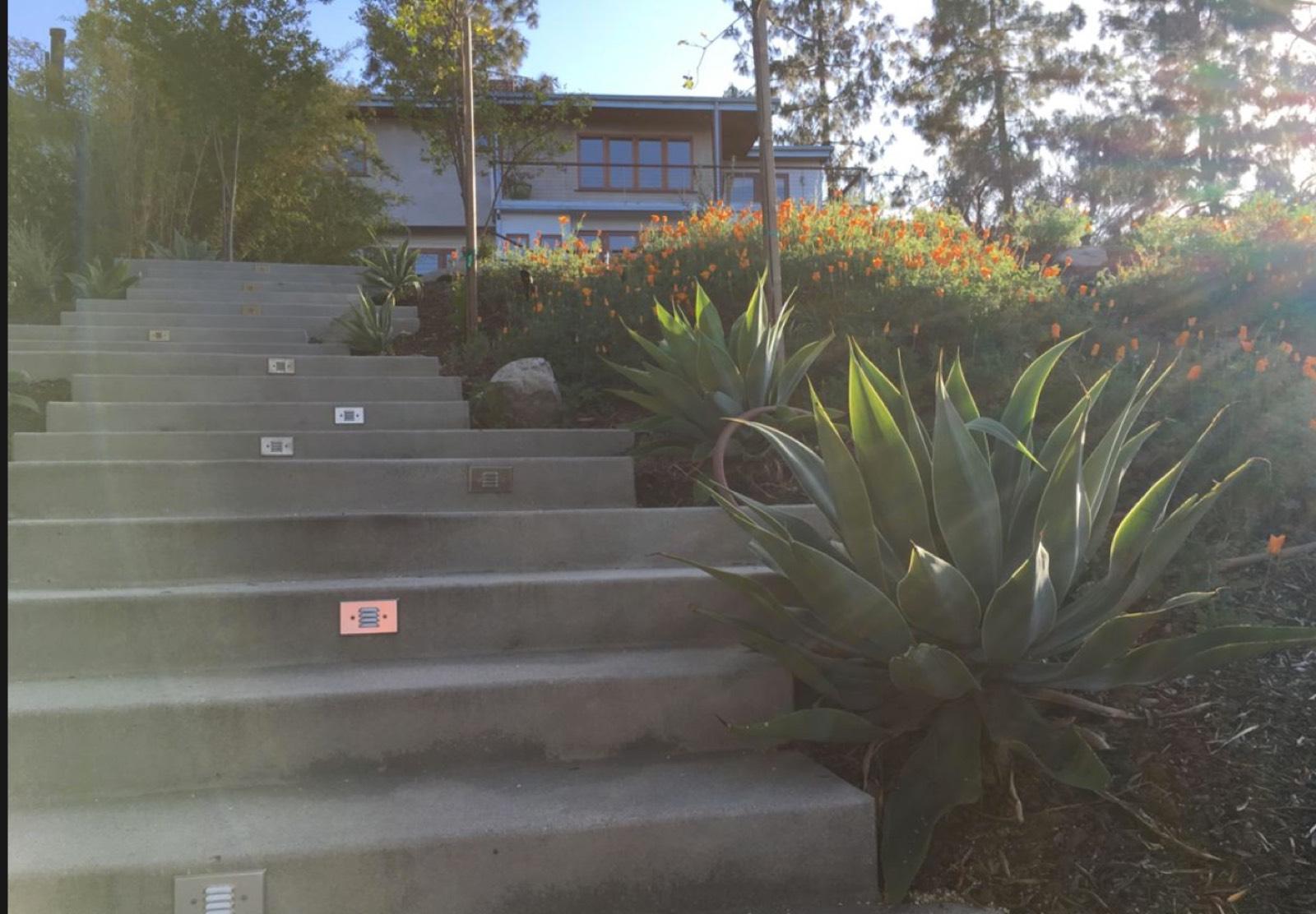 Highland Park Nature House — photo 4