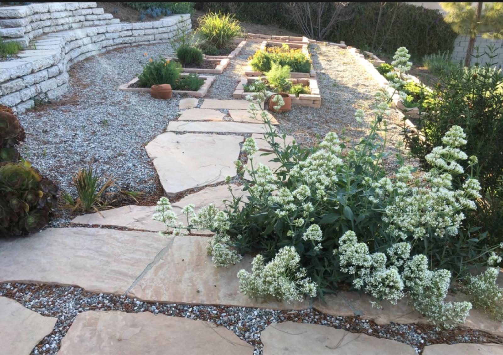 Highland Park Nature House — photo 6