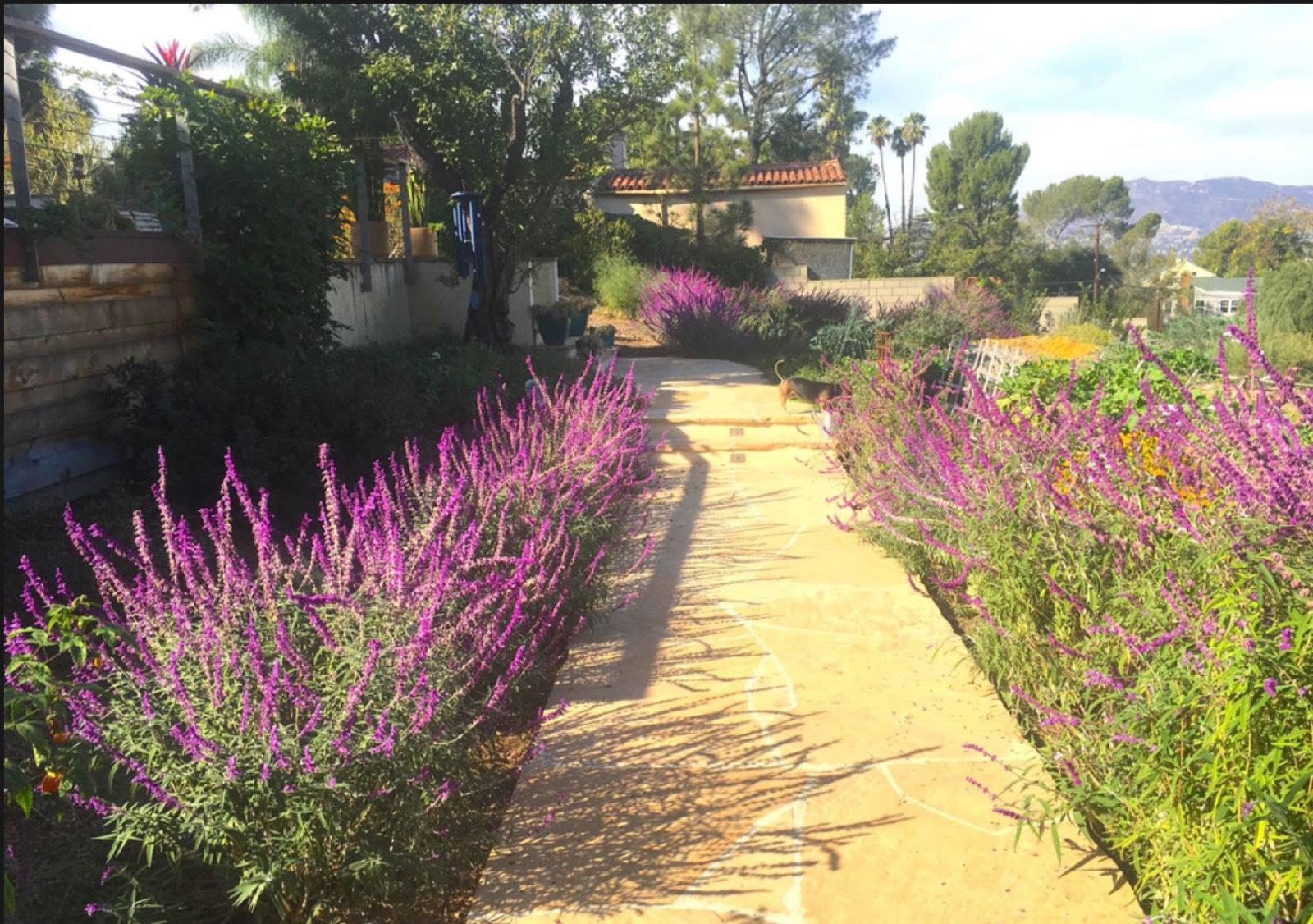 Highland Park Nature House — photo 7
