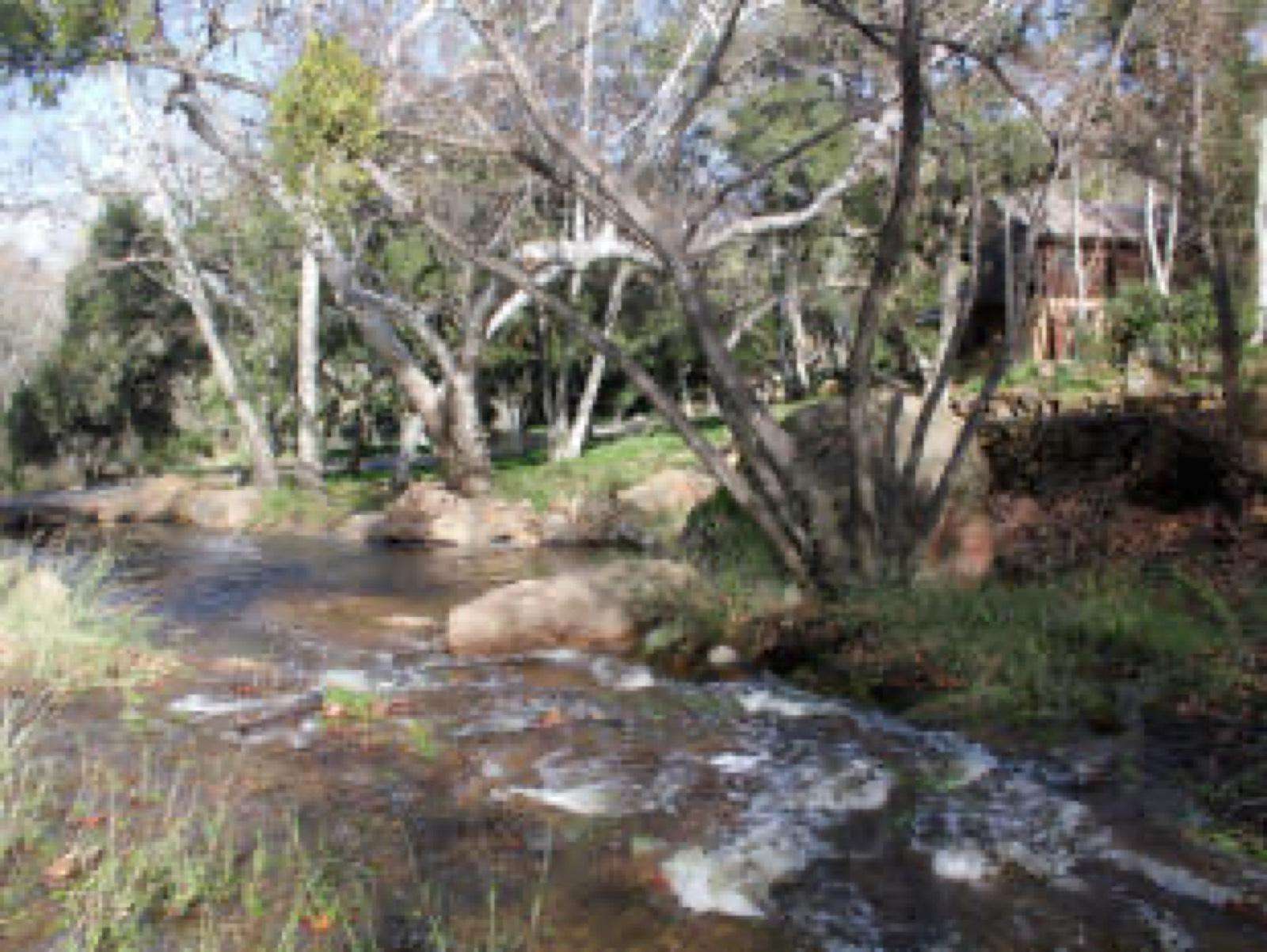 Huge Ranch Property — photo 3