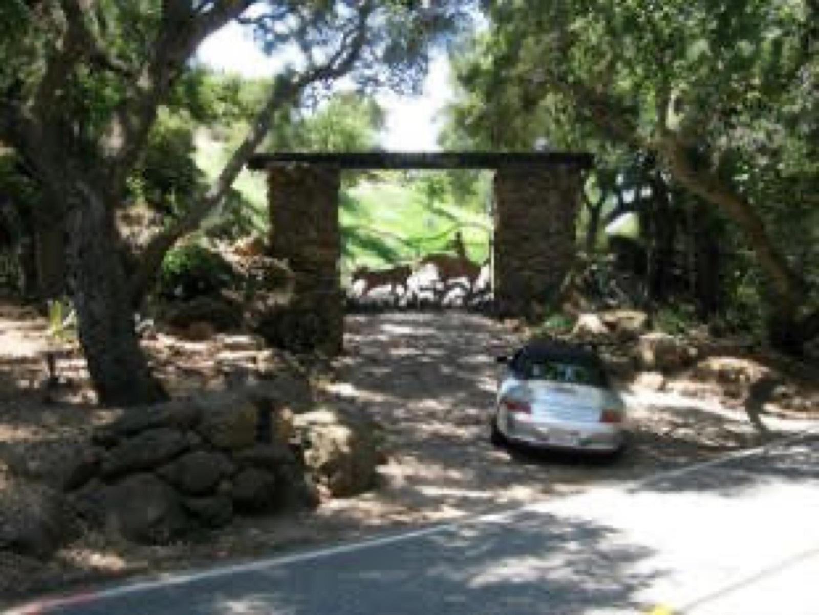 Huge Ranch Property — photo 5