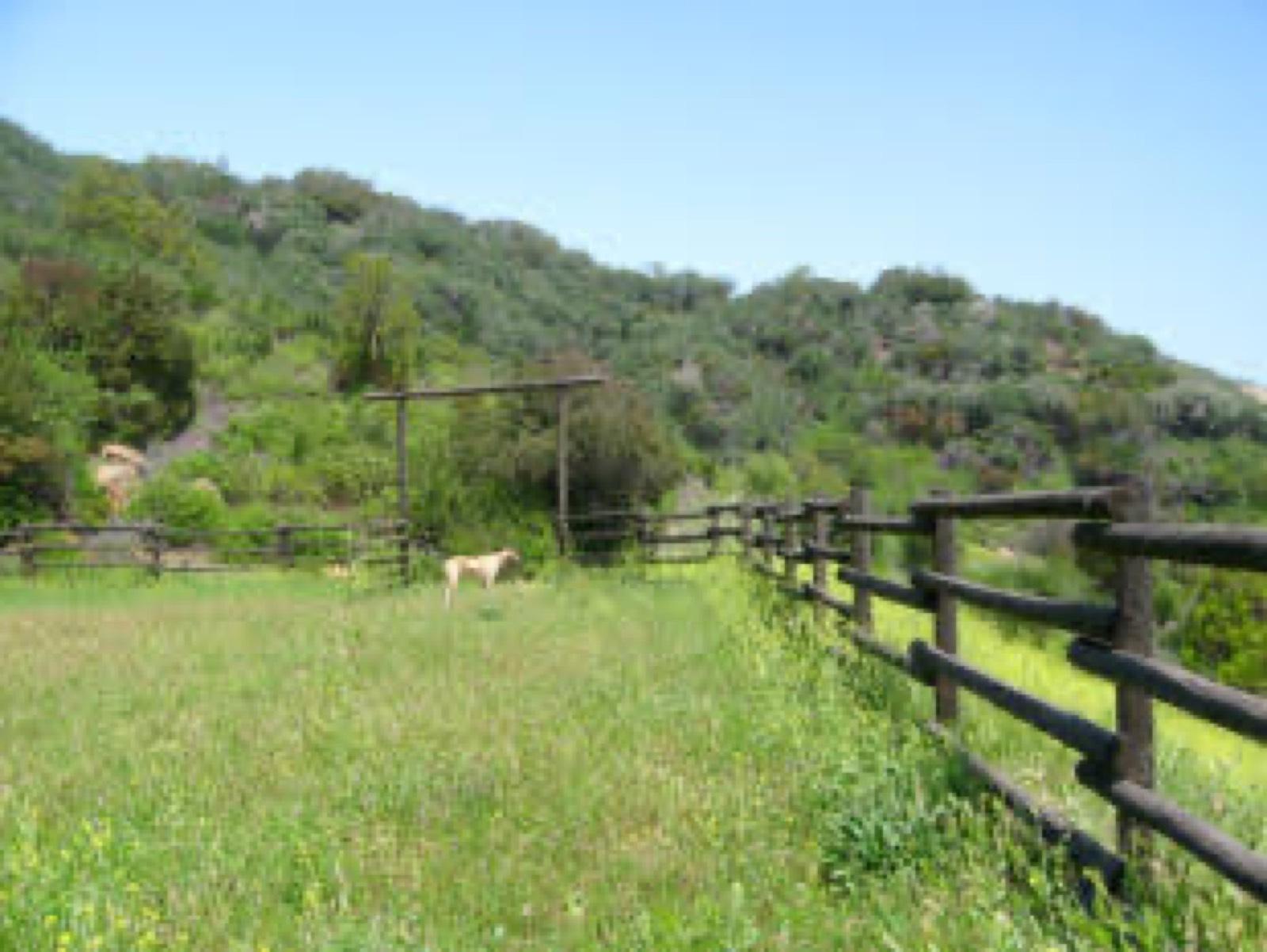 Huge Ranch Property — photo 6