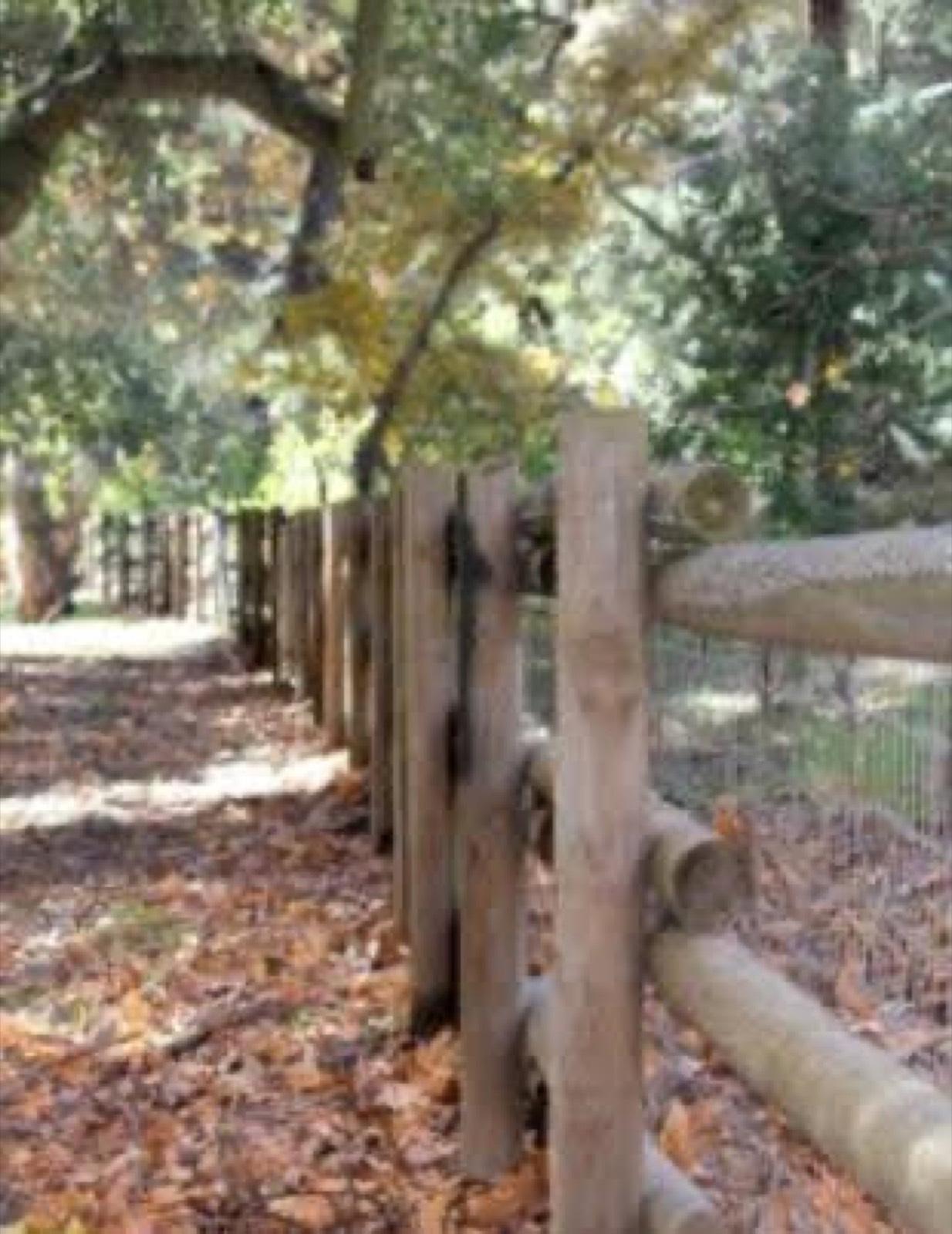 Huge Ranch Property — photo 8
