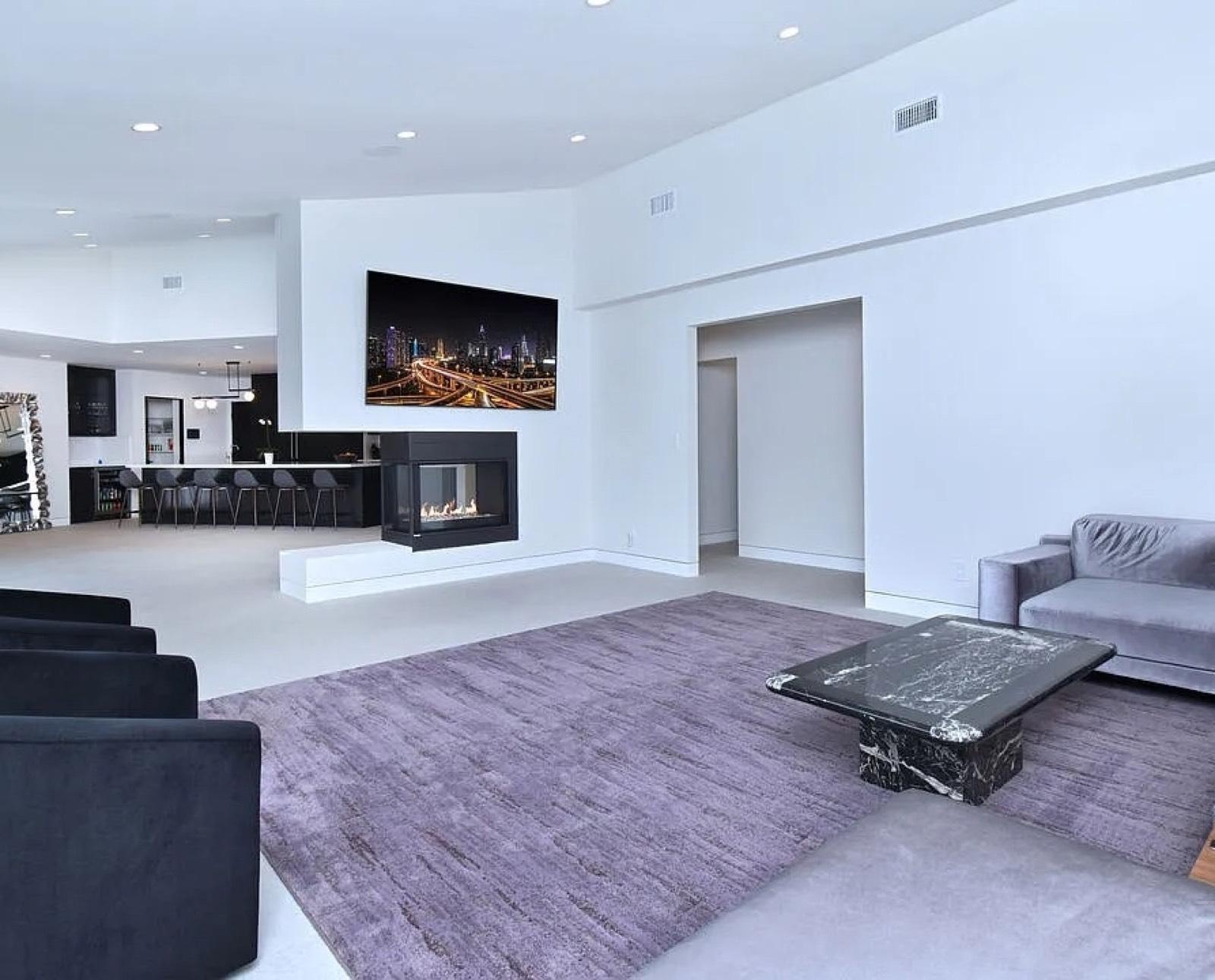 Ians Dona Mod House w Theater — photo 4