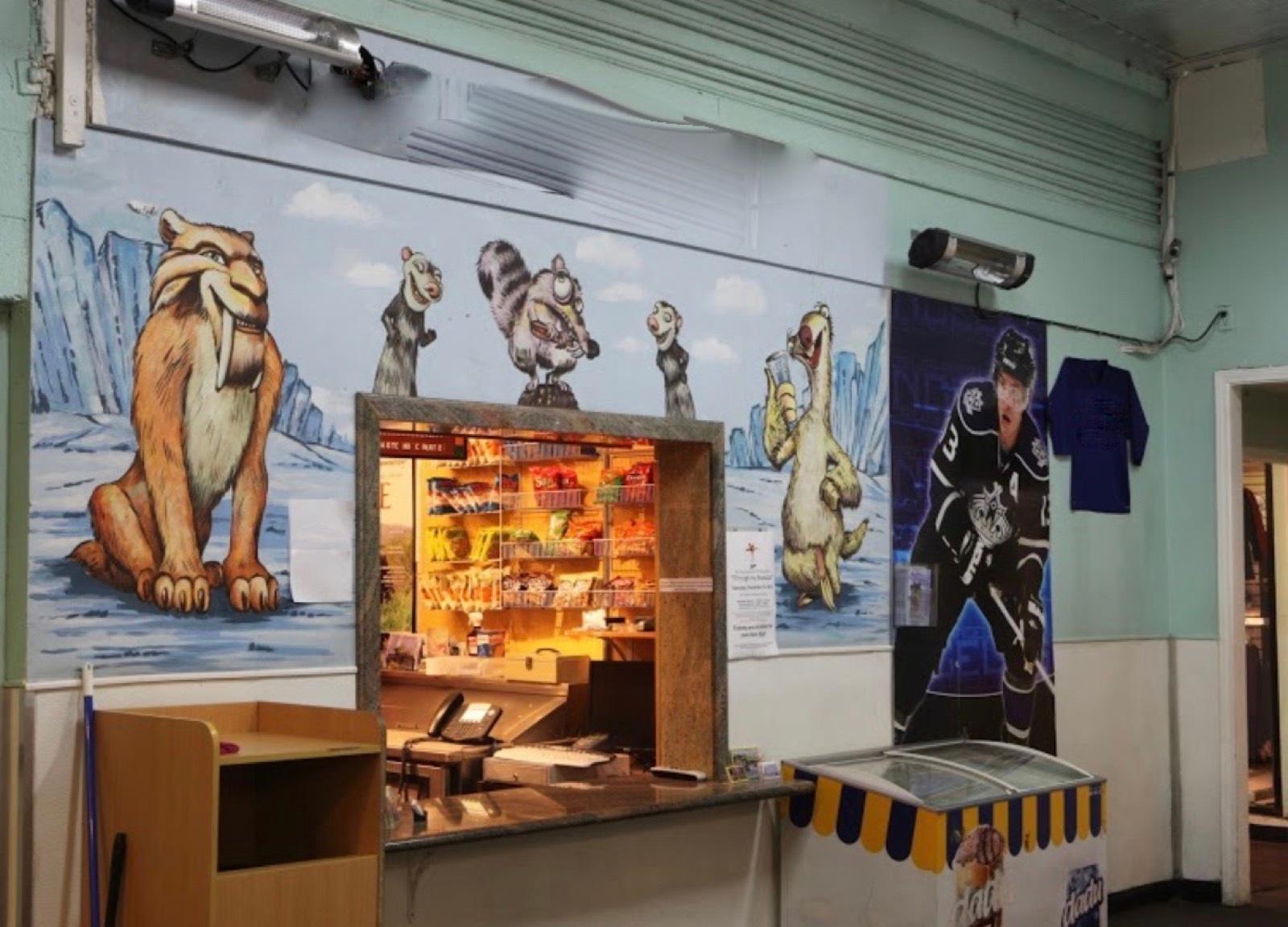 Ice Skating Rink — photo 5