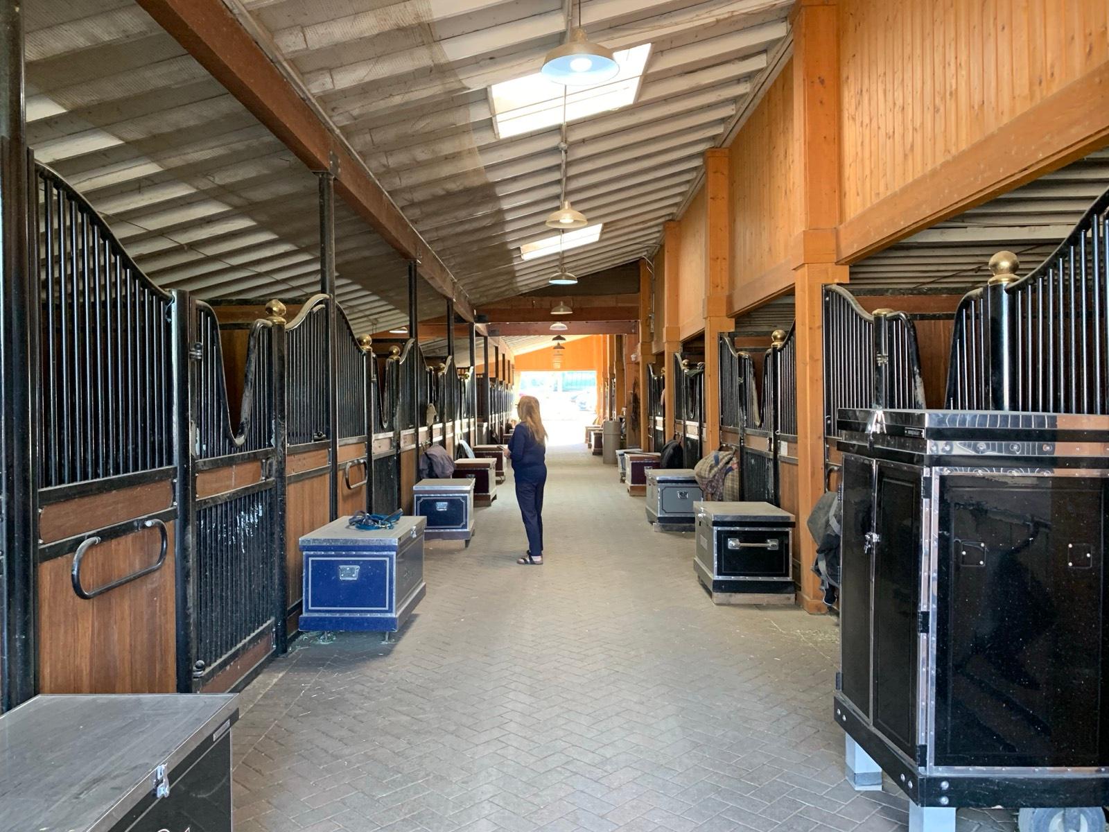 Jh's Farm and Stables — photo 11