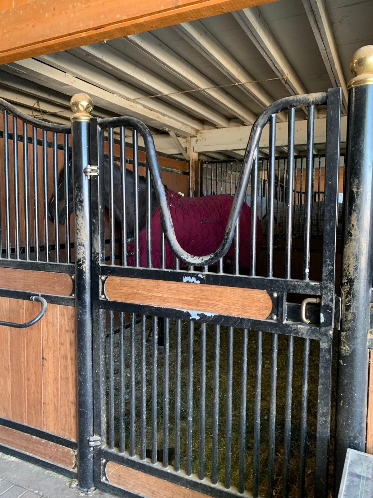 Jh's Farm and Stables — photo 12