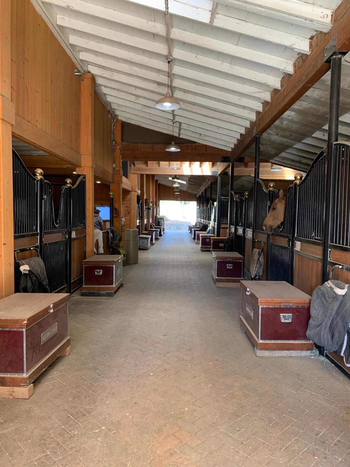 Jh's Farm and Stables — photo 6