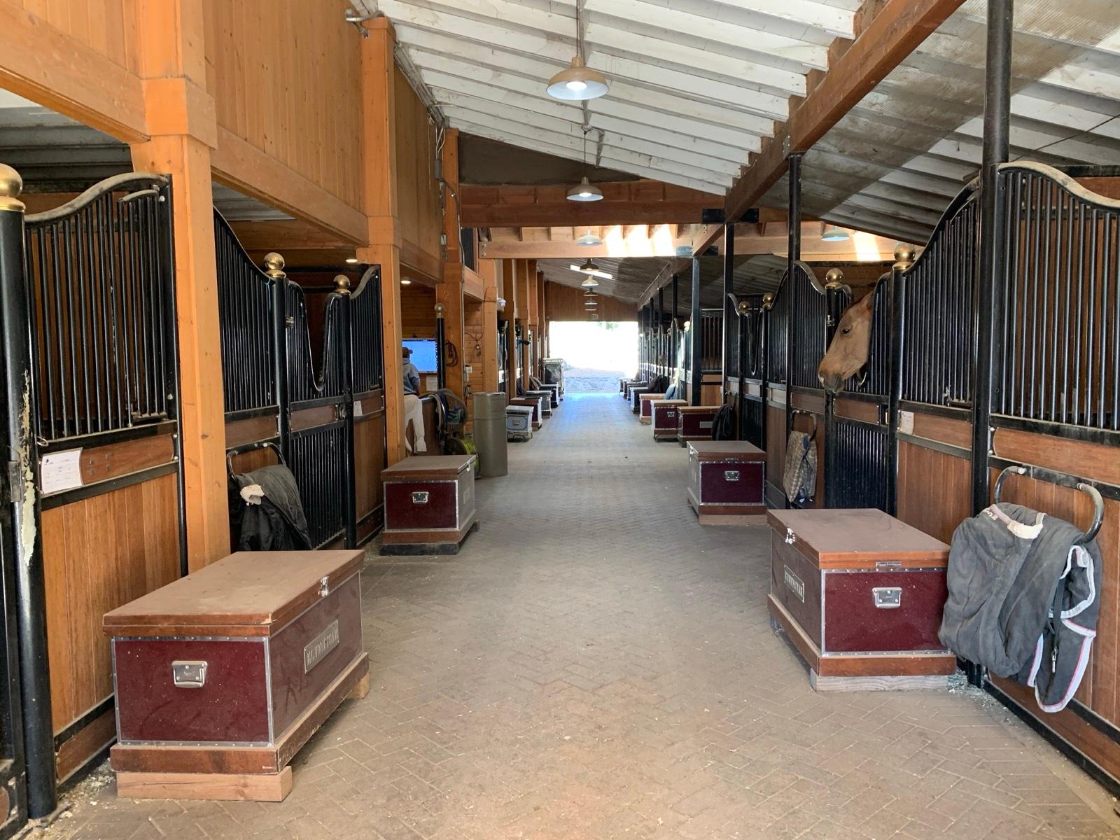 Jh's Farm and Stables — photo 7