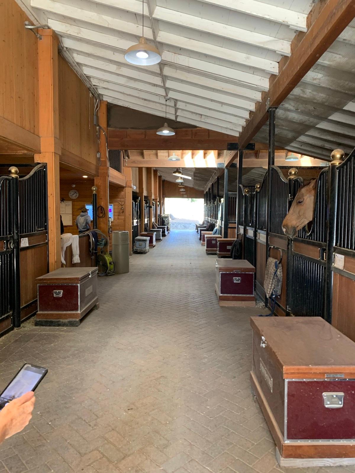 Jh's Farm and Stables — photo 8