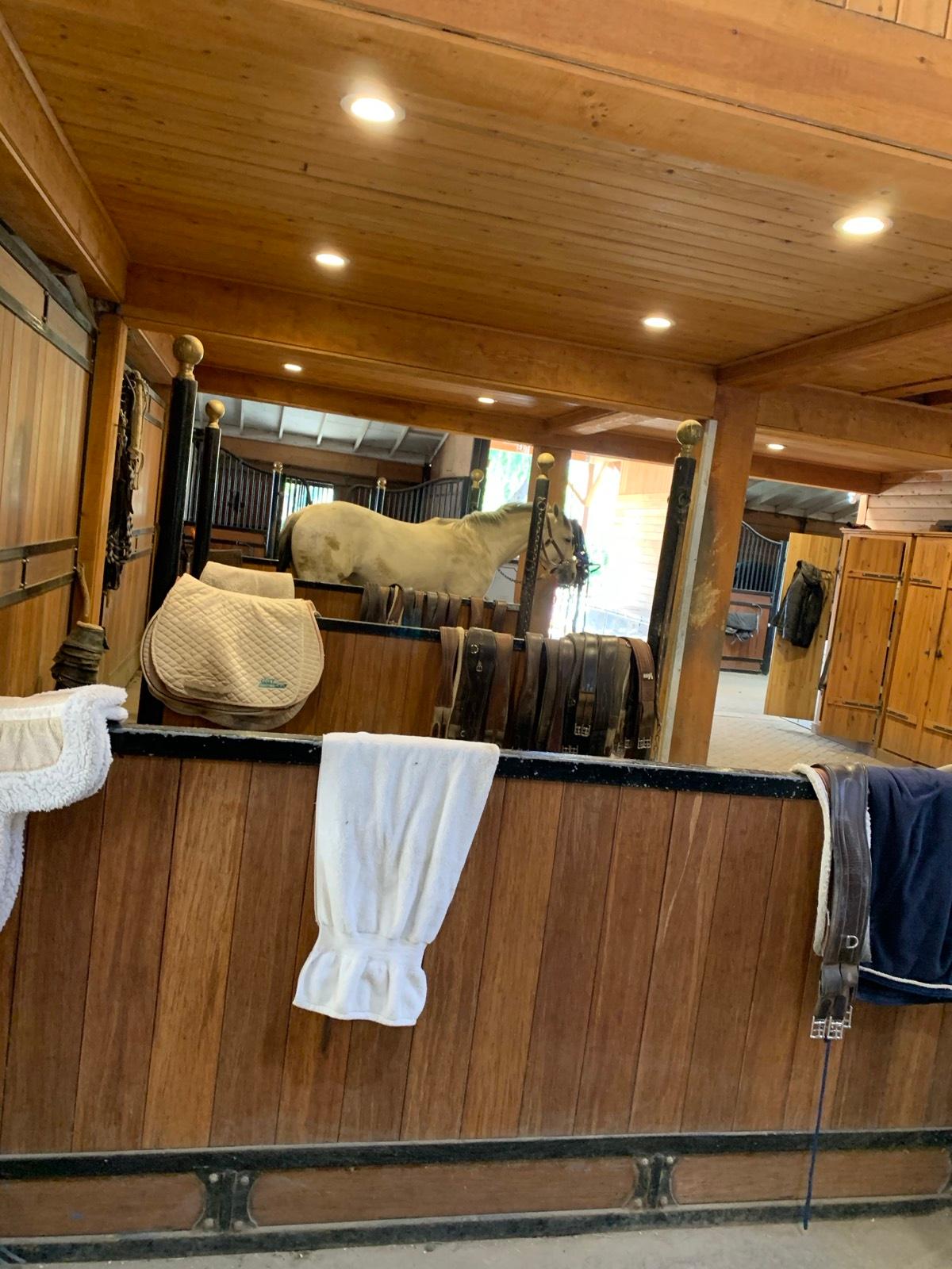 Jh's Farm and Stables — photo 9