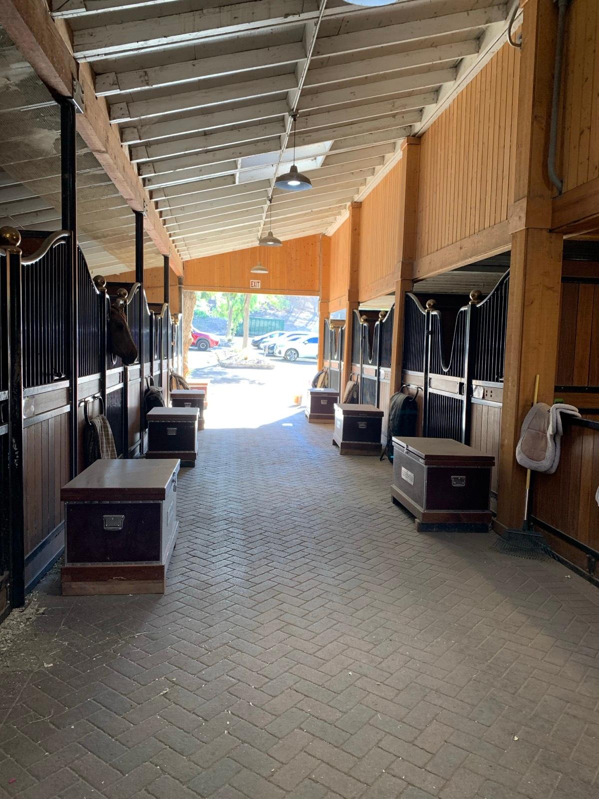 Jh's Farm and Stables — photo 10