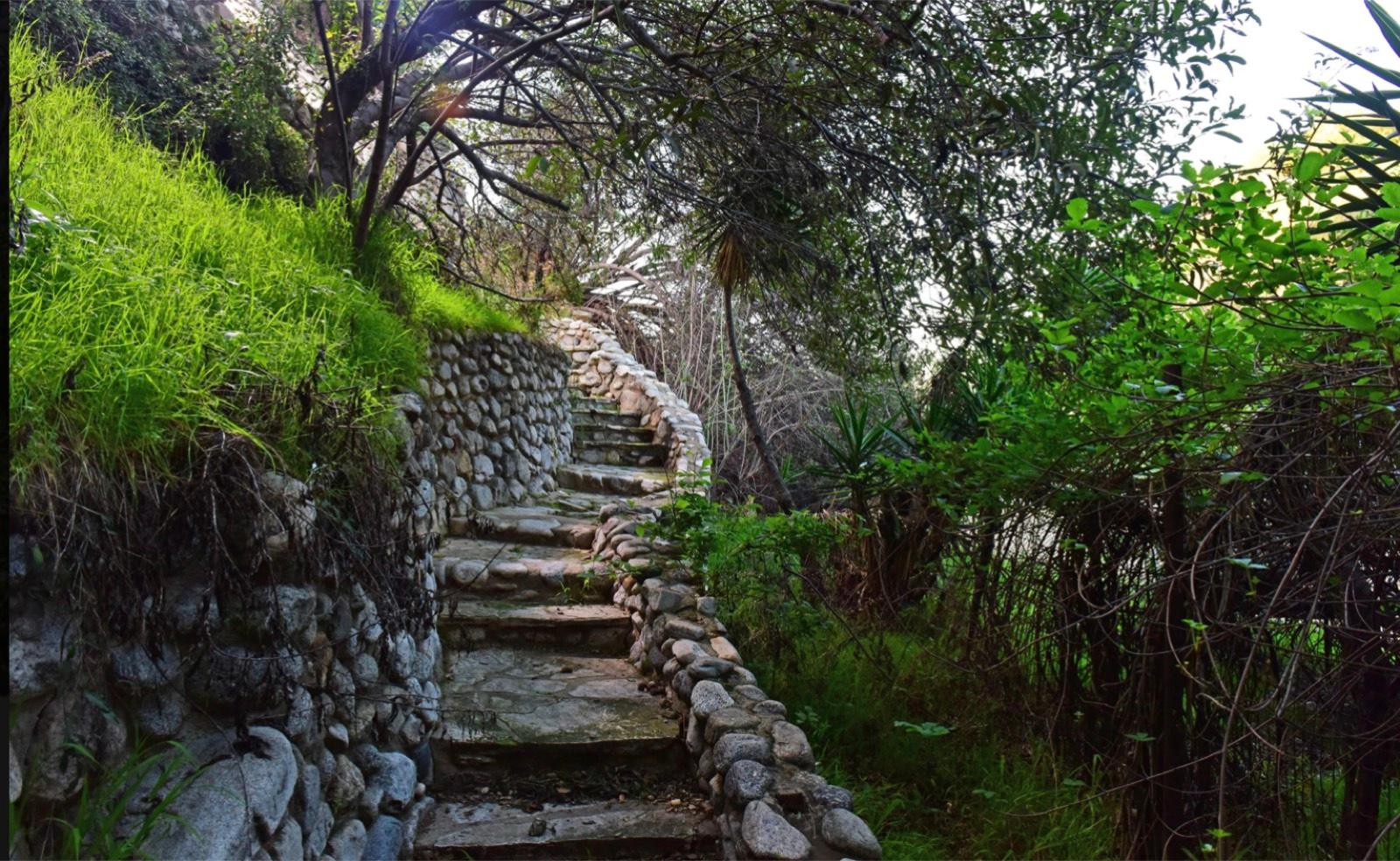 J's Garden Home — photo 10