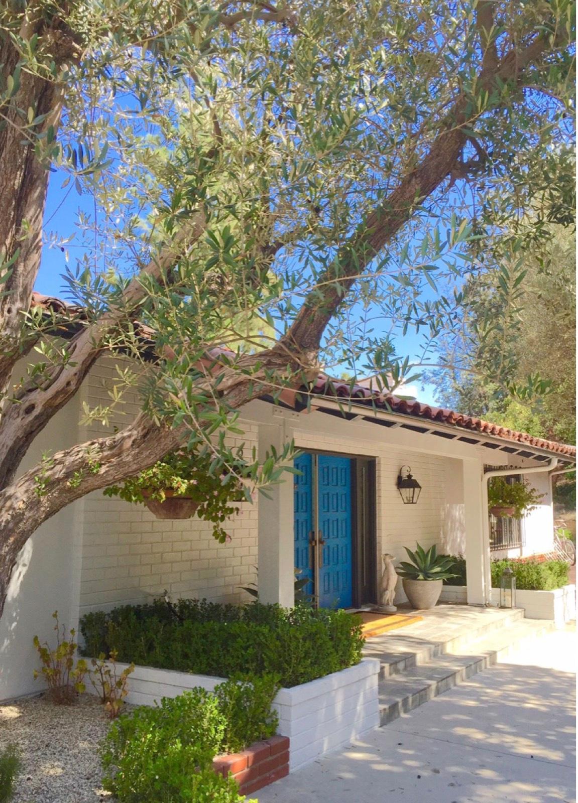 JS's Colorful Stylish Home — photo 7