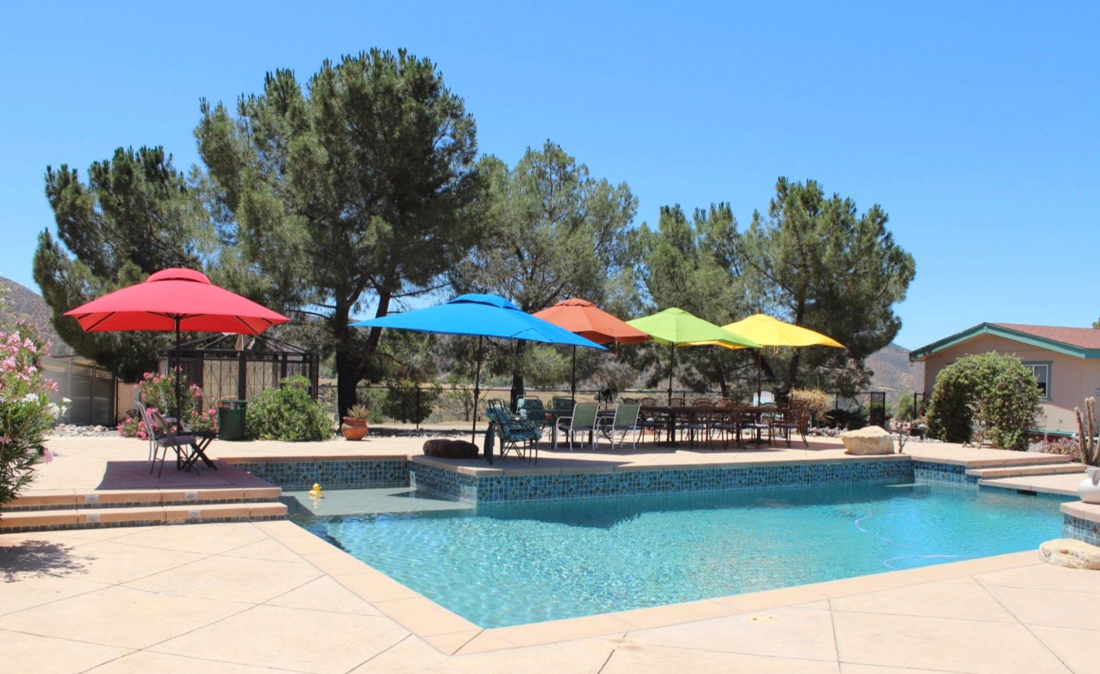 KD's Spanish Ranch — photo 2