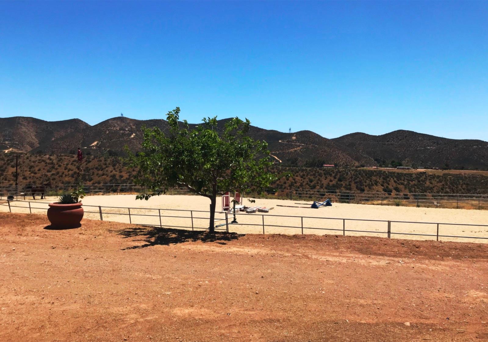 KD's Spanish Ranch — photo 9