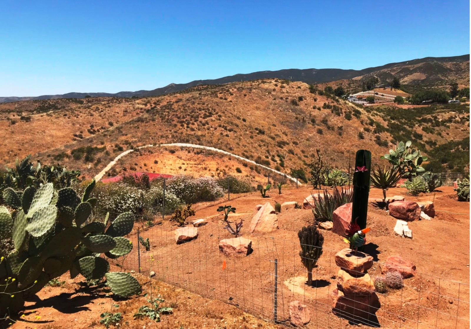 KD's Spanish Ranch — photo 11