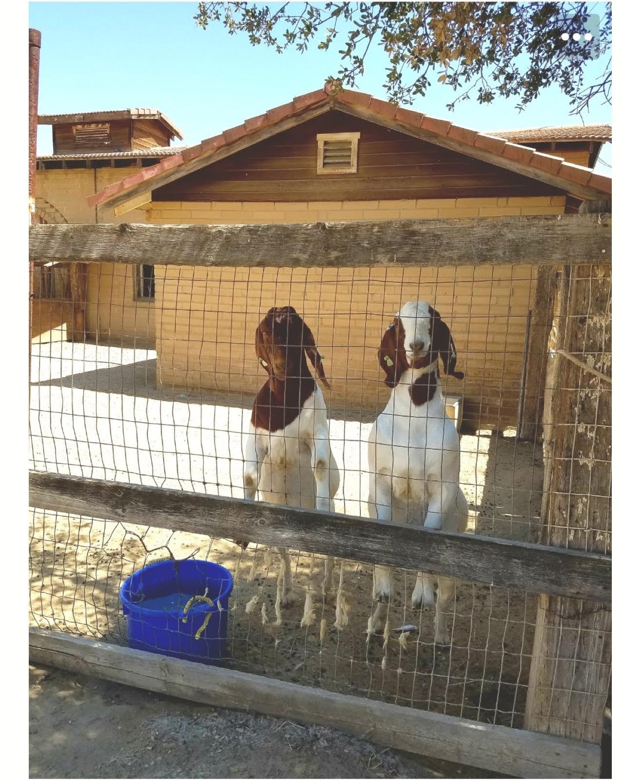 K’s friends ranch — photo 5