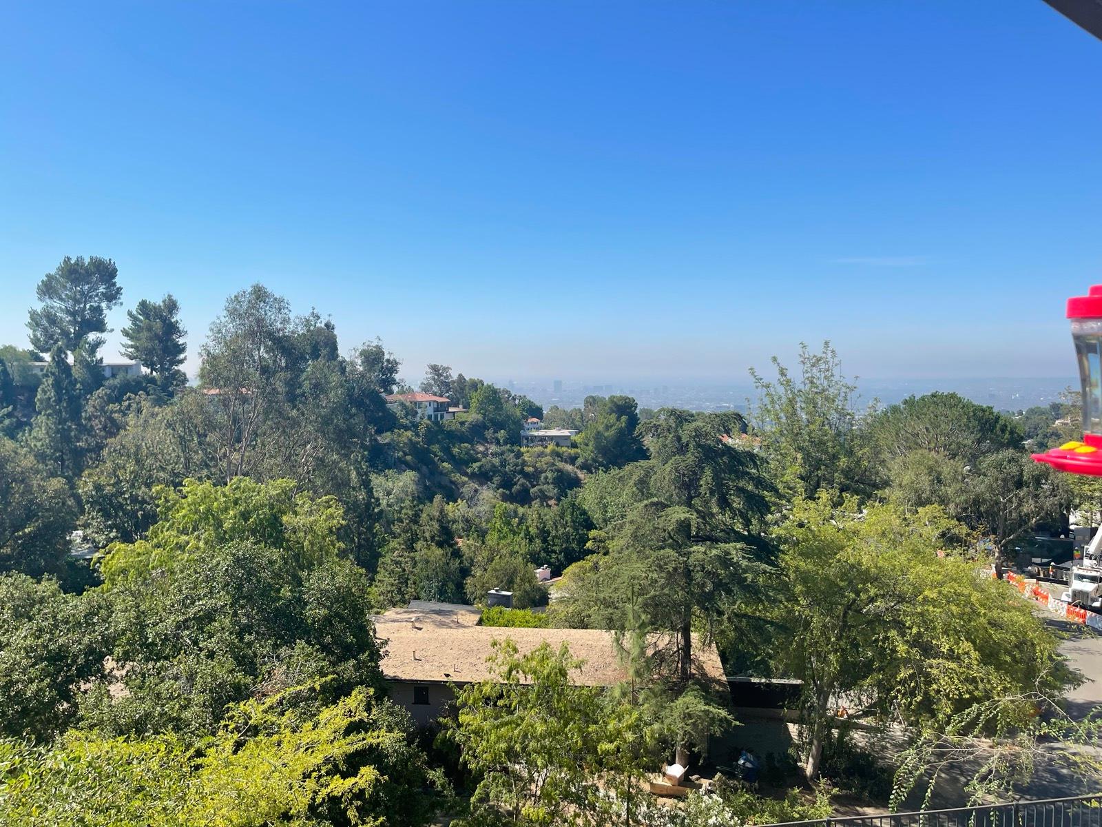 L's Bachelor View Home — photo 11
