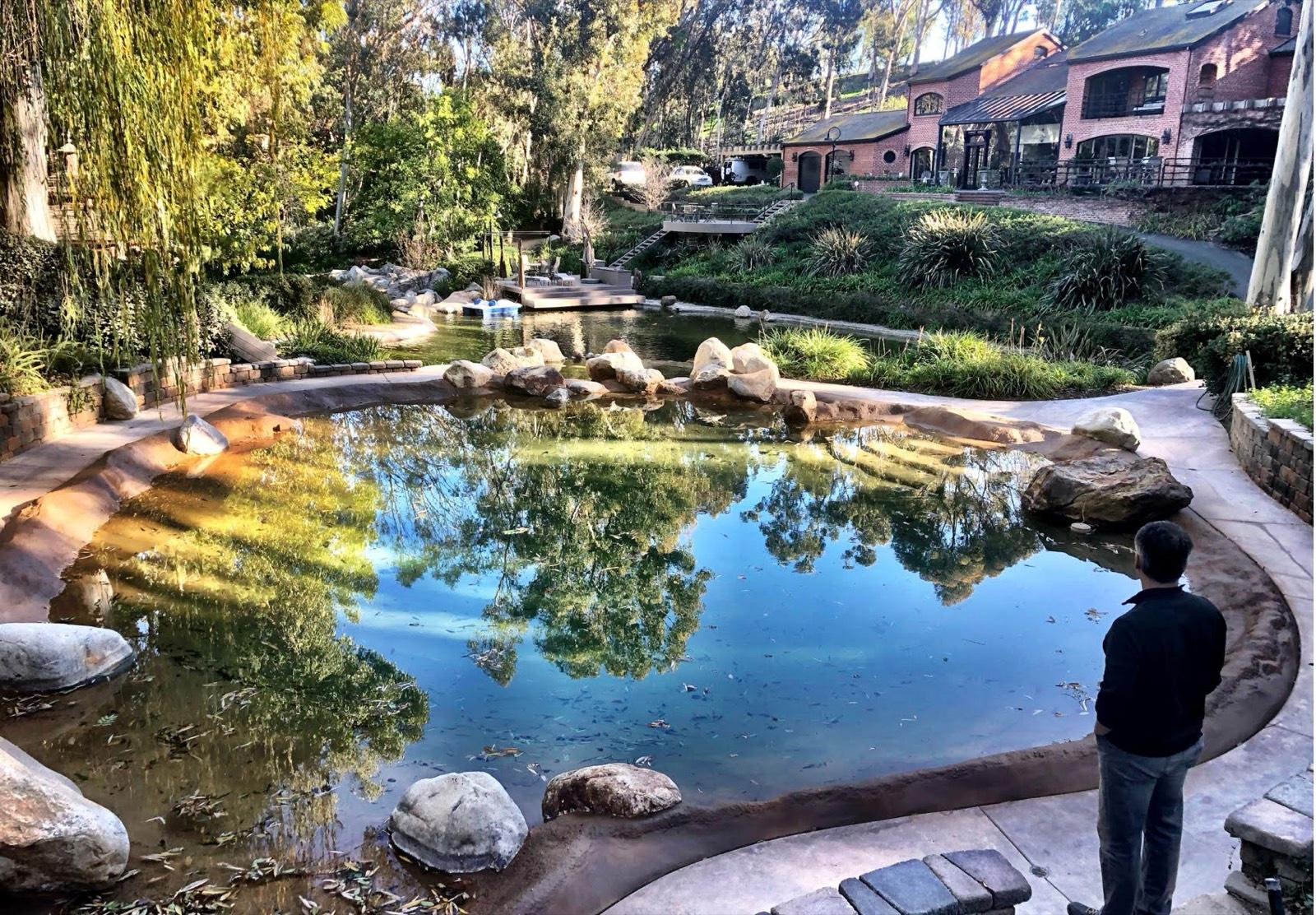LK S Lake Property Estate — photo 6