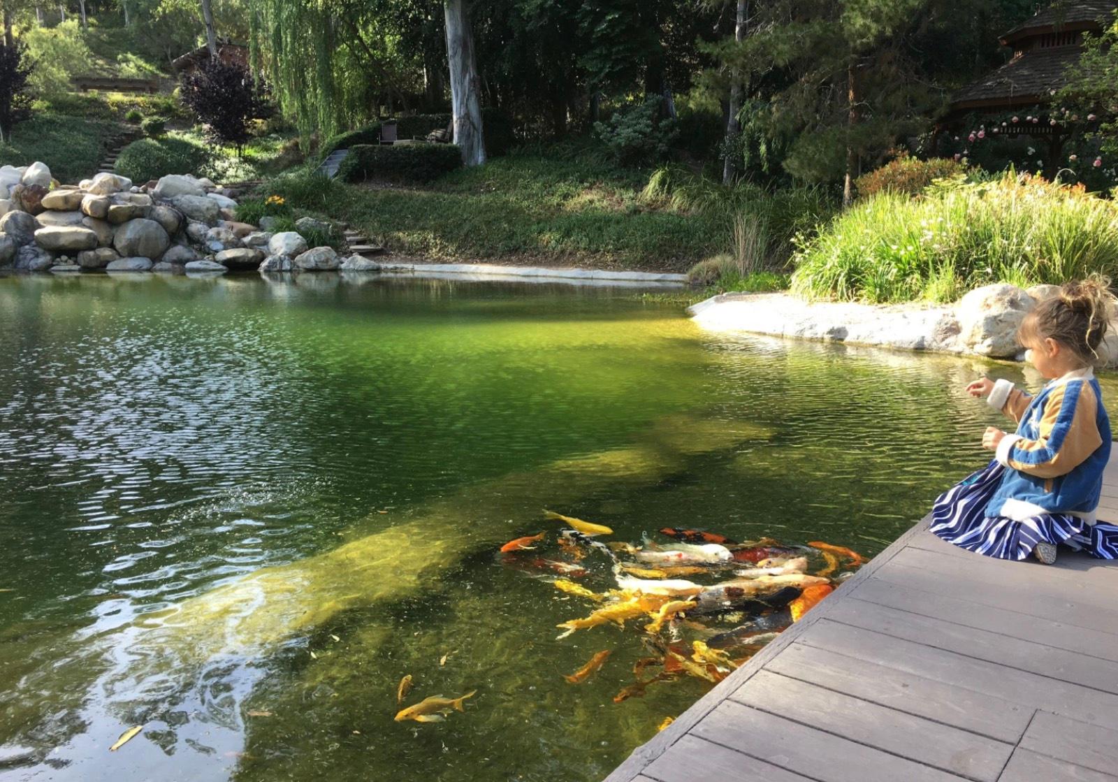 LK's Lake Estate — photo 11
