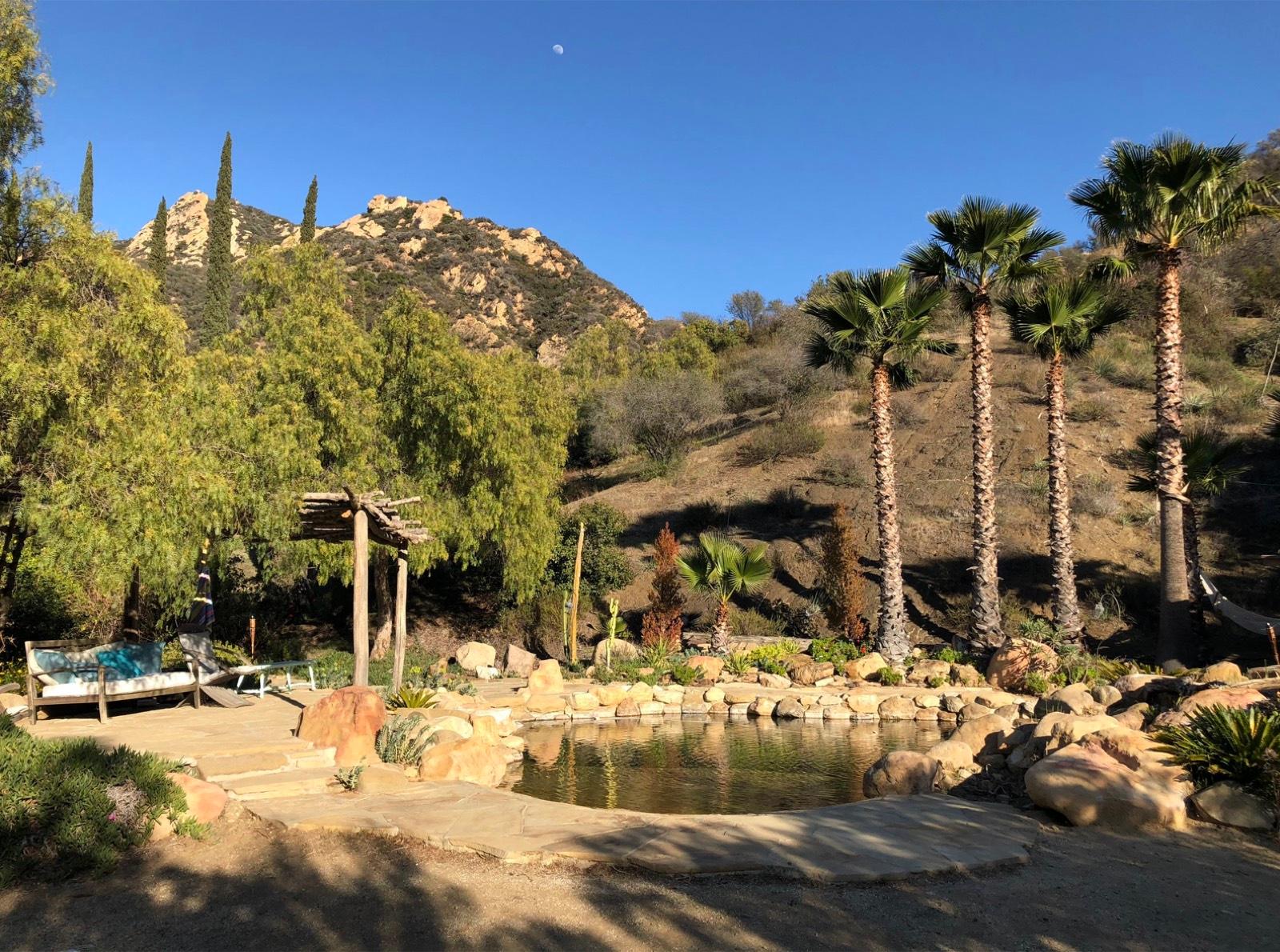 L's Spanish Ranch — photo 6