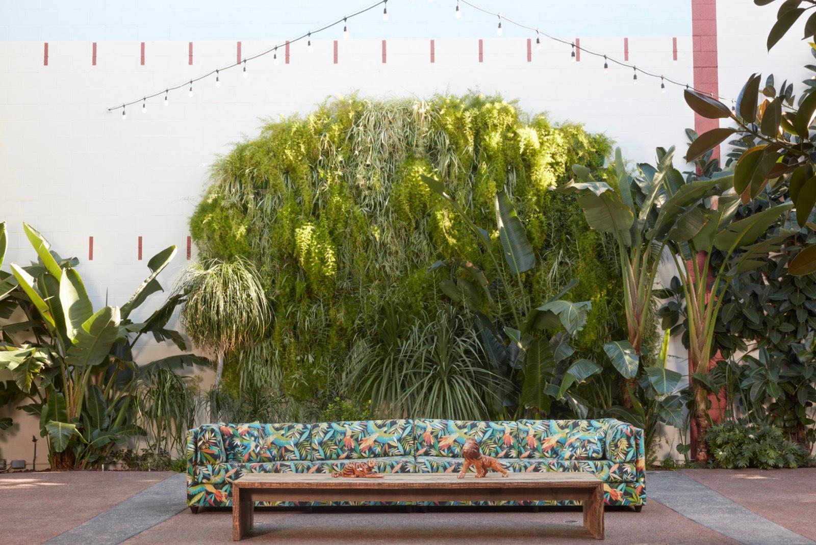 M's C Garden — photo 1