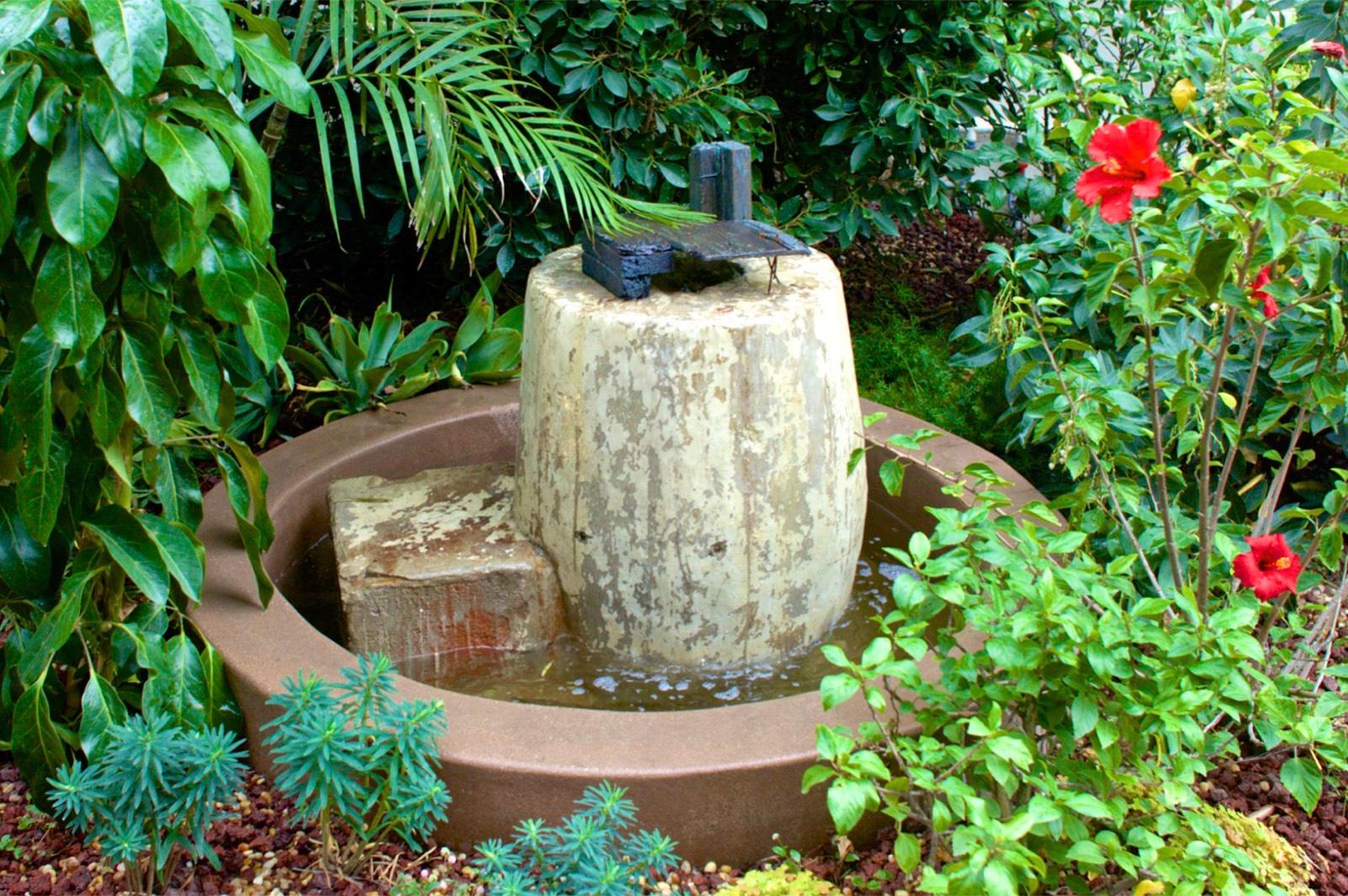 M's C Garden — photo 12