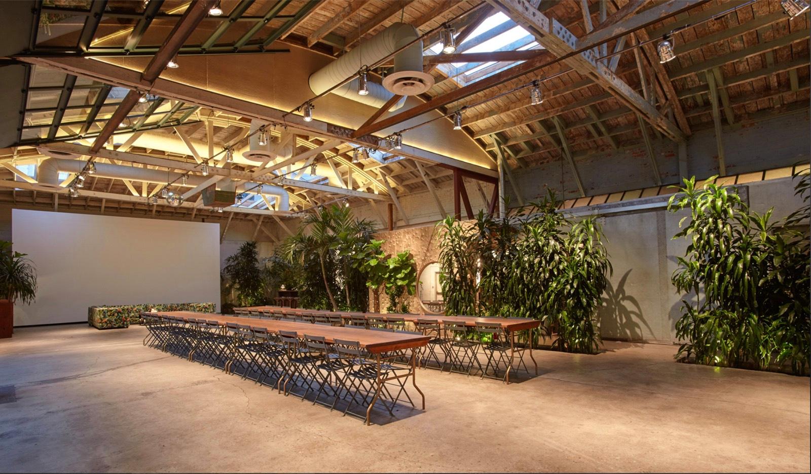 M's C Garden — photo 4