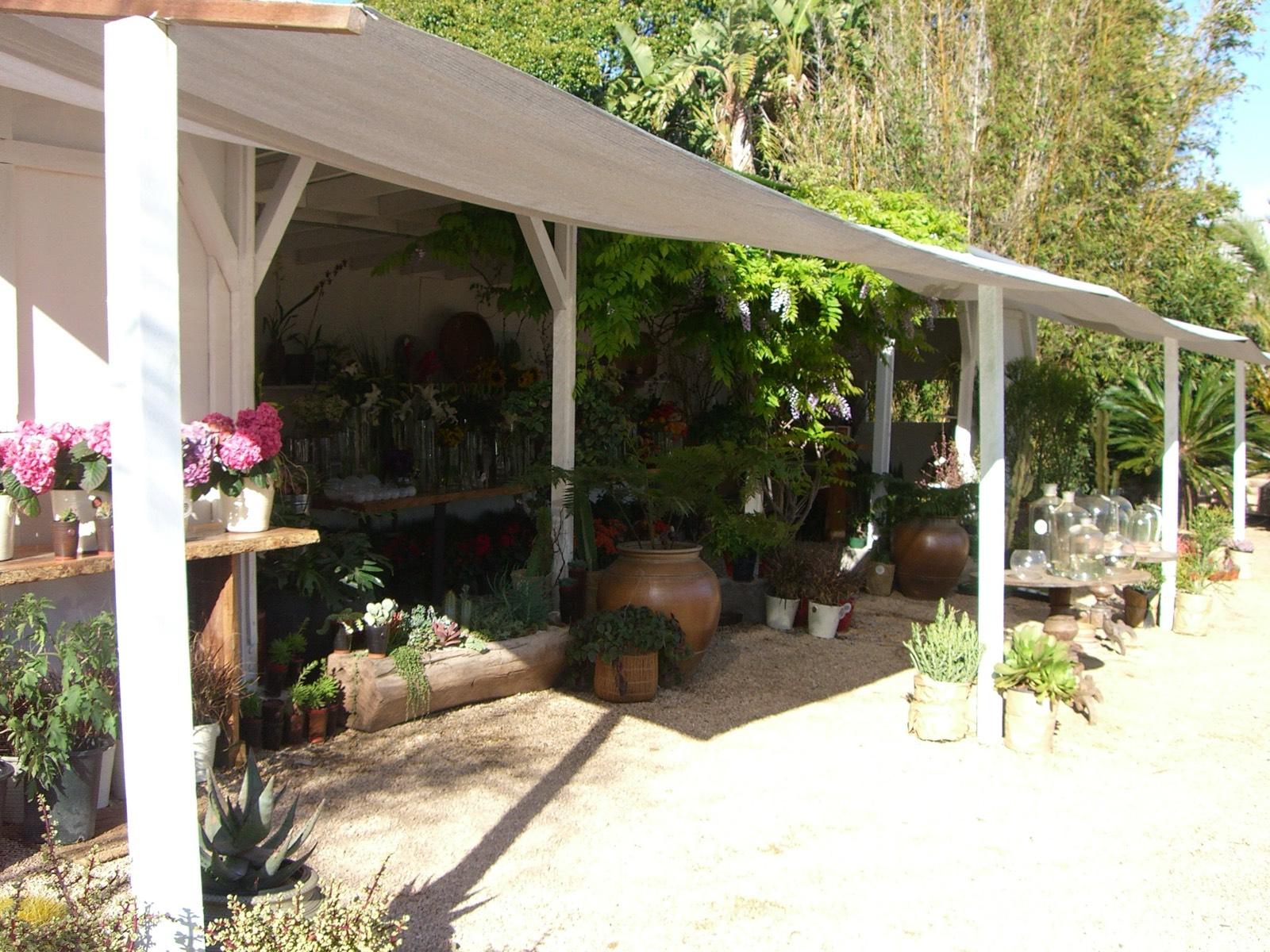 Malibu Garden Nursery — photo 3