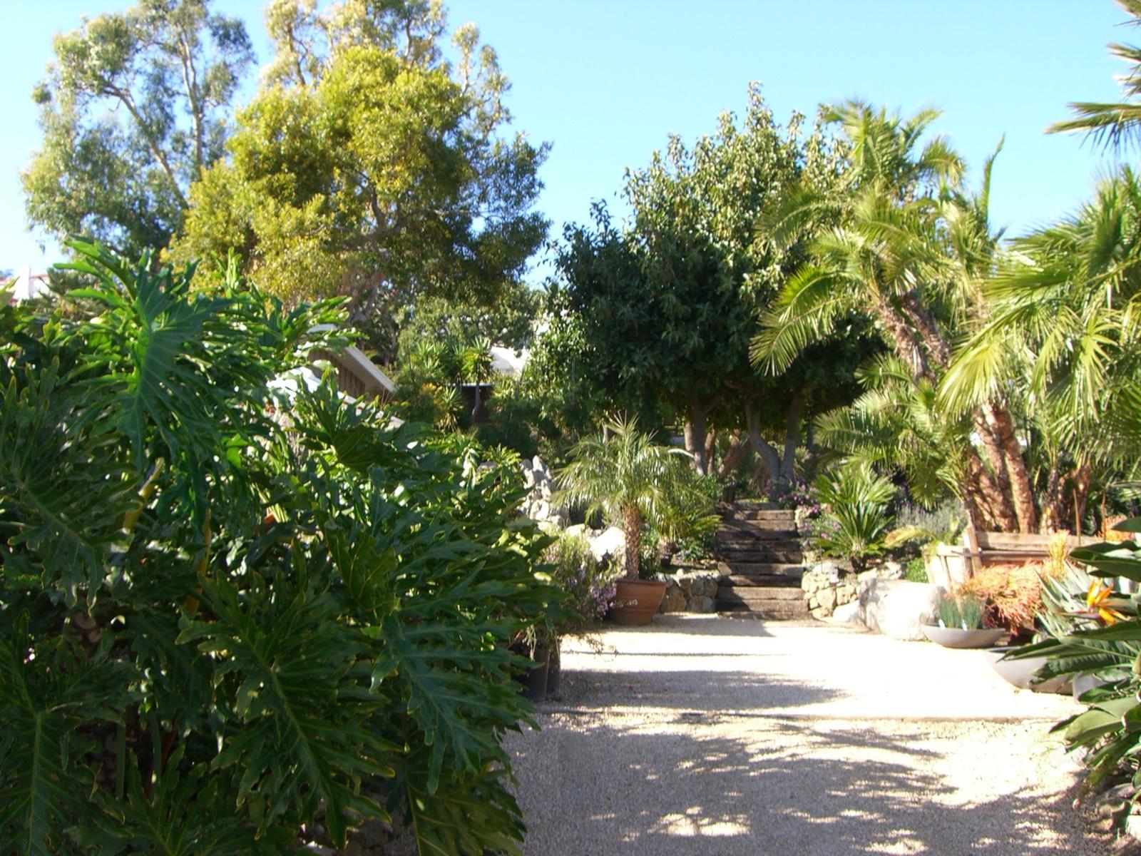 Malibu Garden Nursery — photo 4