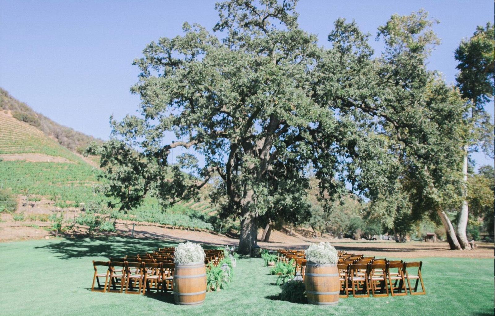 Malibu Vineyards — photo 11