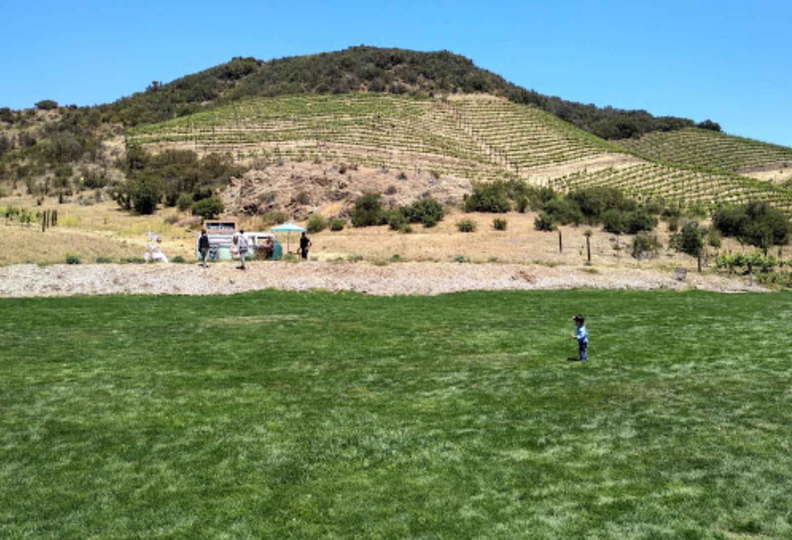 Malibu Vineyards — photo 1