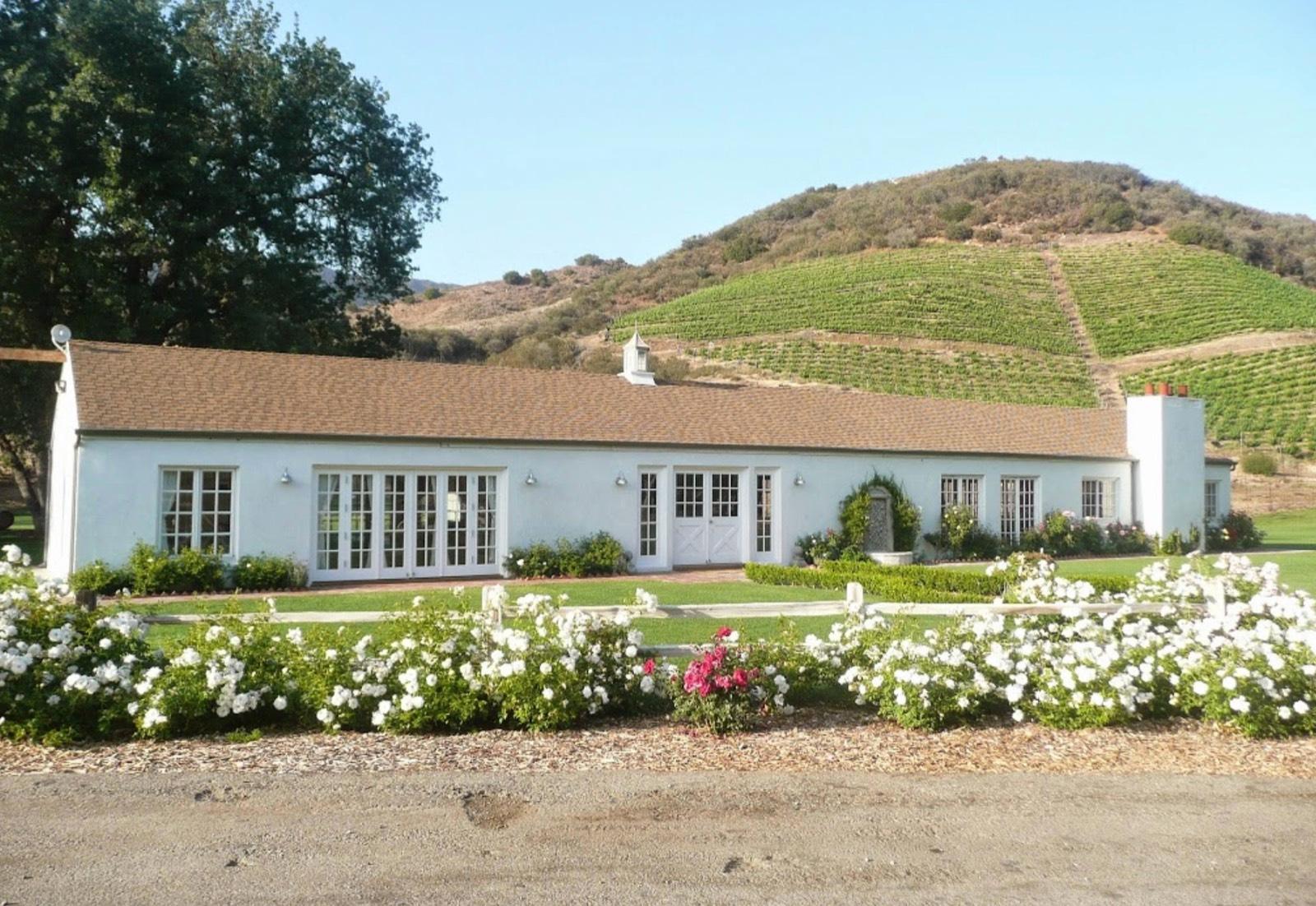 Malibu Vineyards — photo 4