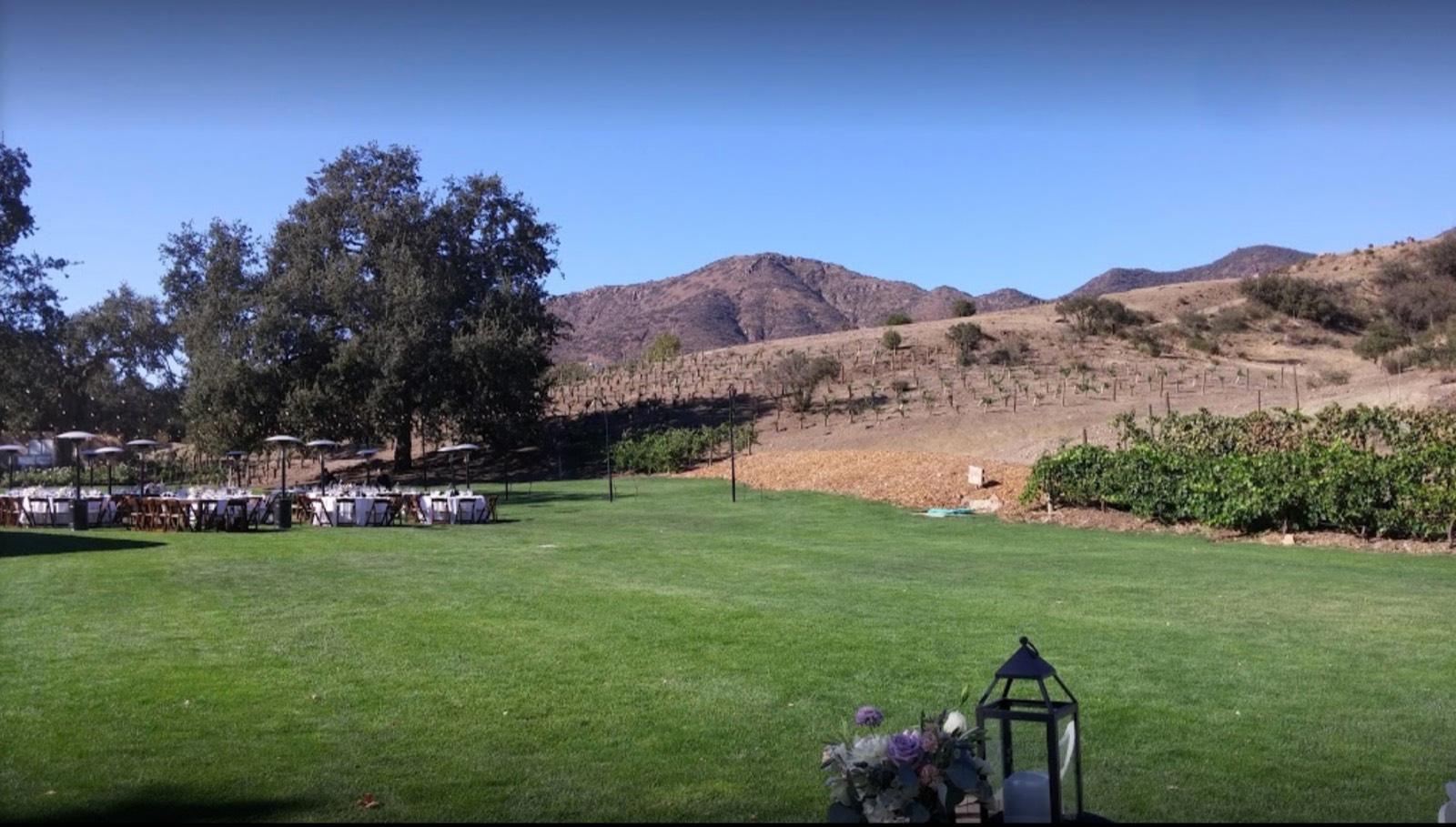 Malibu Vineyards — photo 7