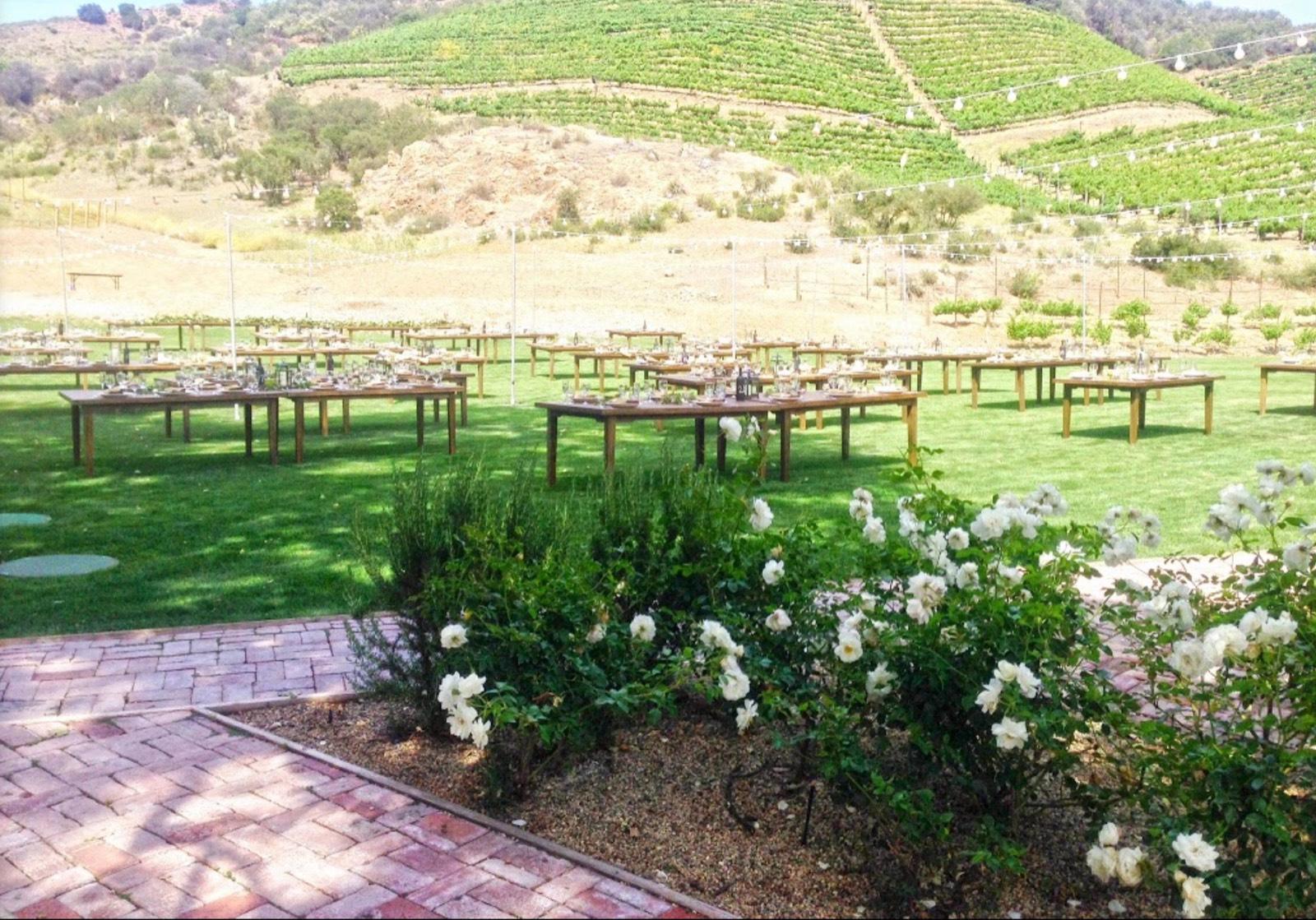 Malibu Vineyards — photo 8