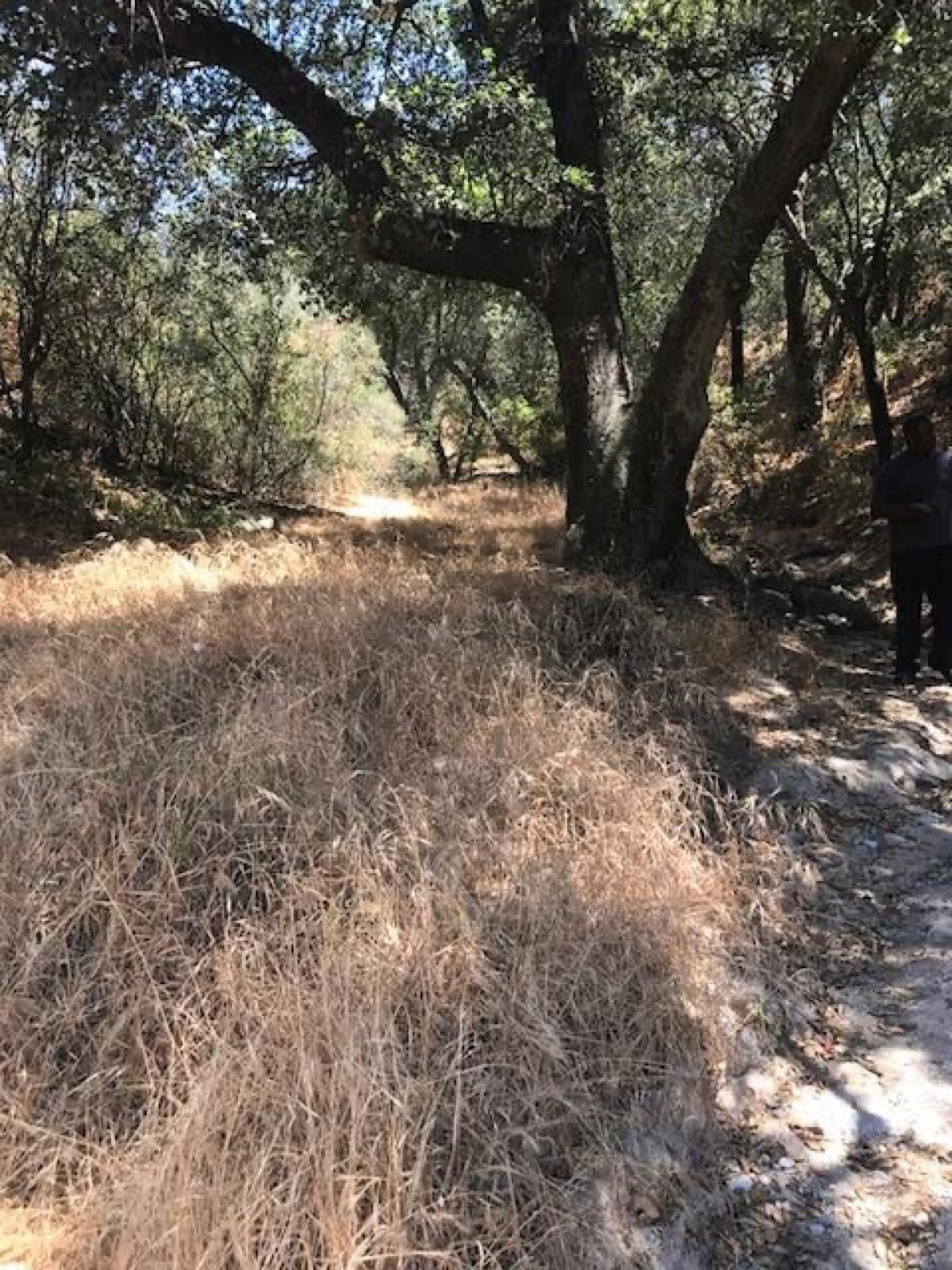 Marks Ranch — photo 2