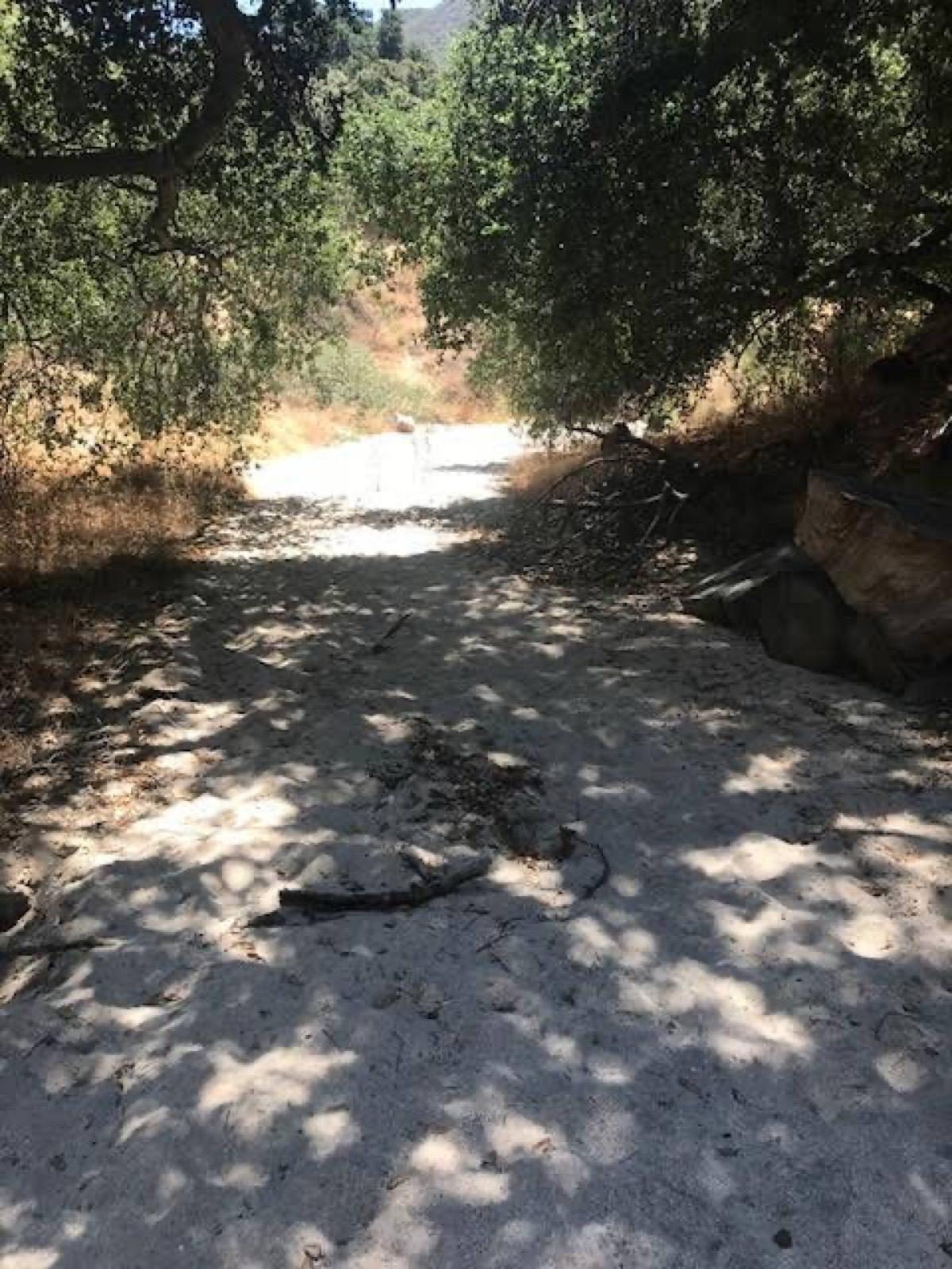 Marks Ranch — photo 7