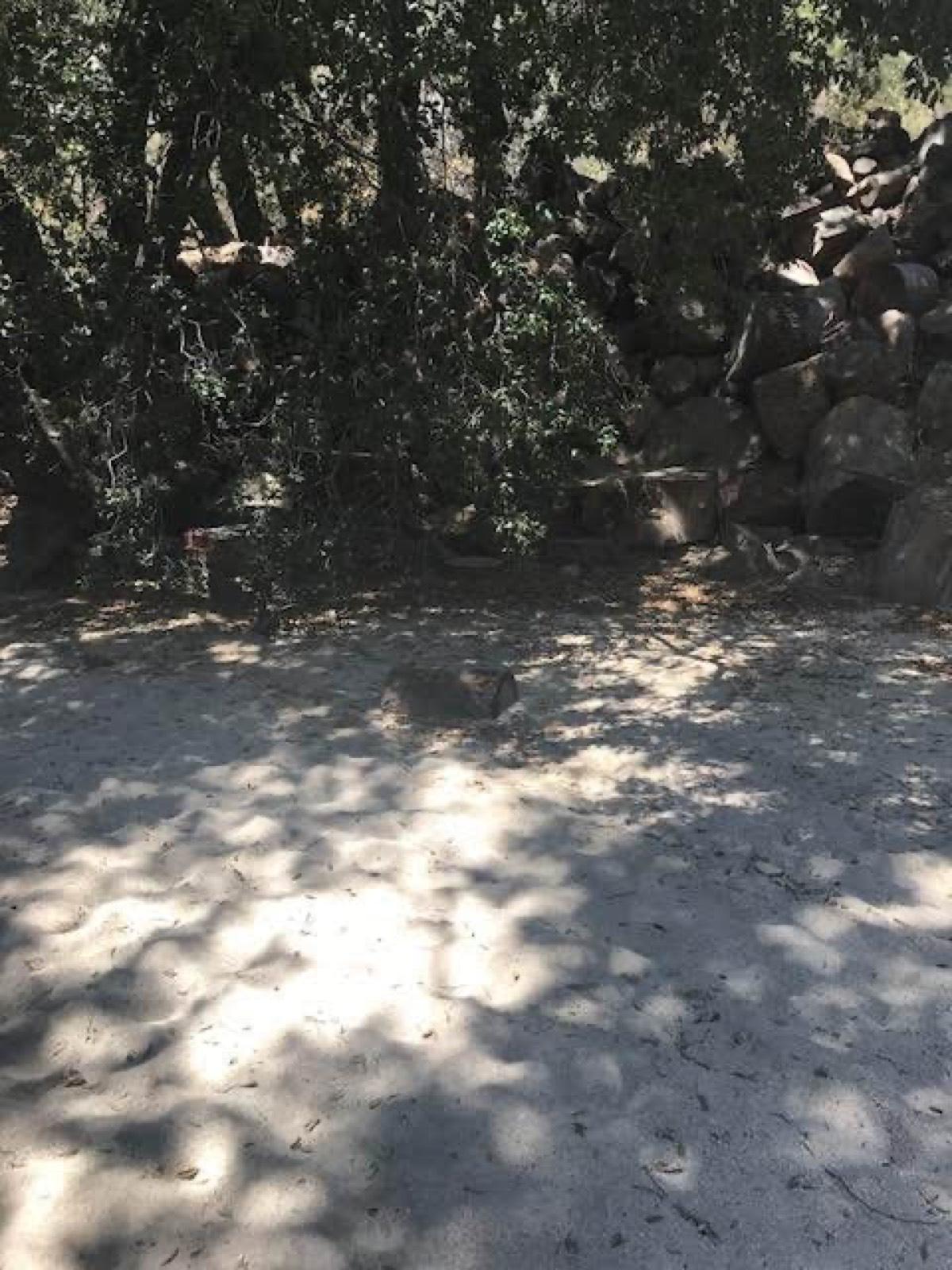 Marks Ranch — photo 9