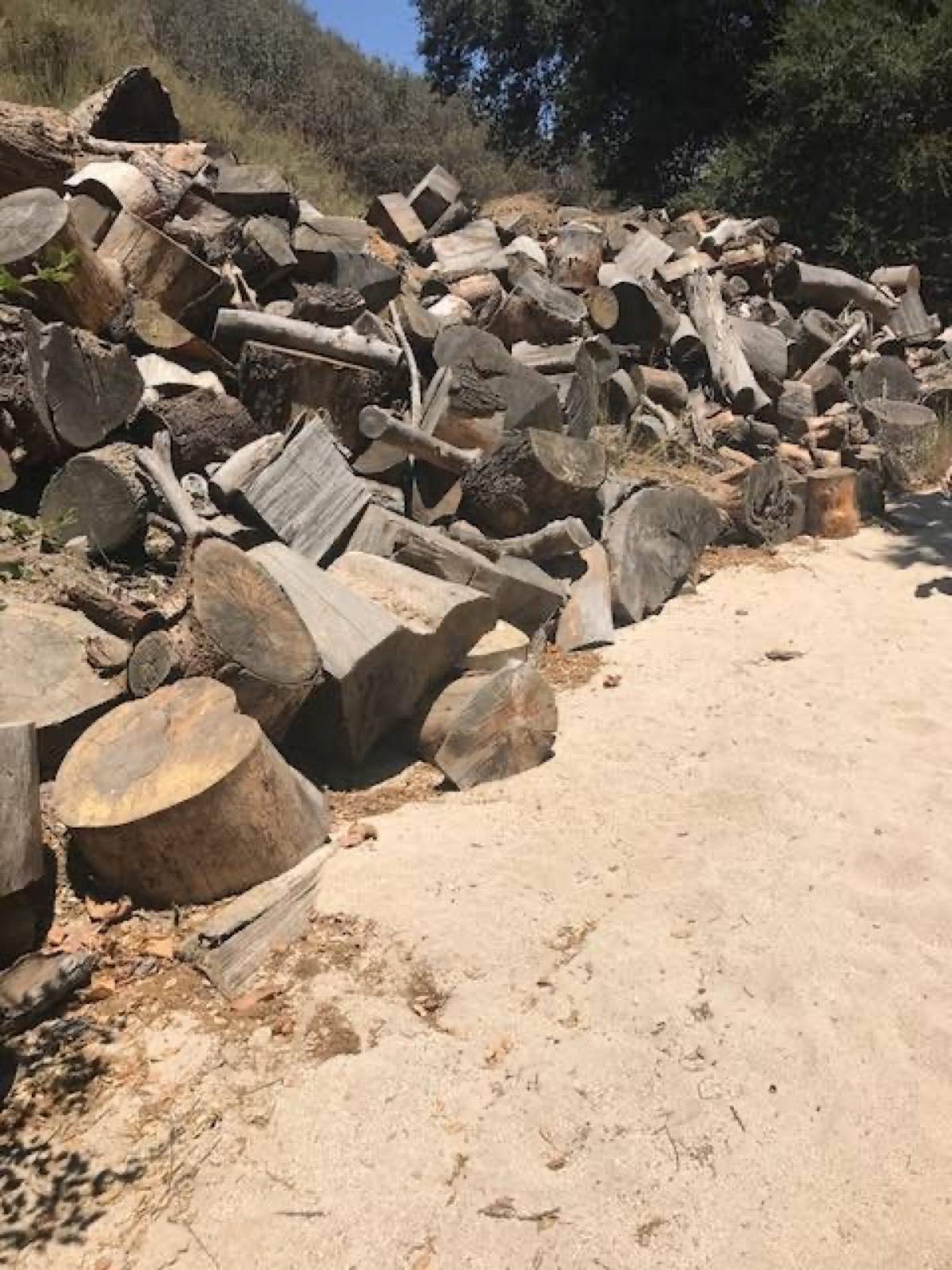 Marks Ranch — photo 10