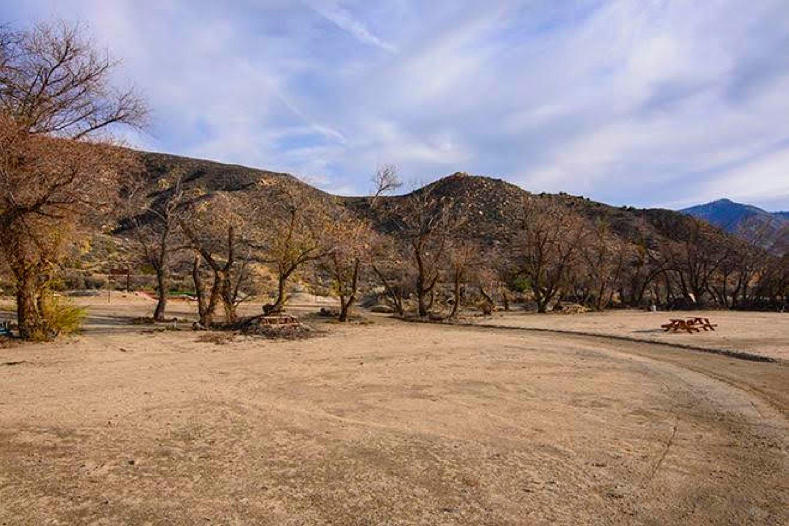 Mike's Film Ranch — photo 8
