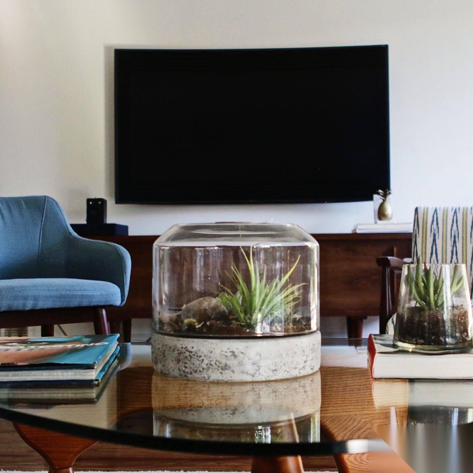 Modern M Century Home w cool backyard — photo 4