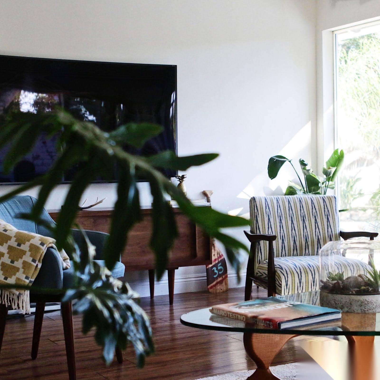 Modern M Century Home w cool backyard — photo 5